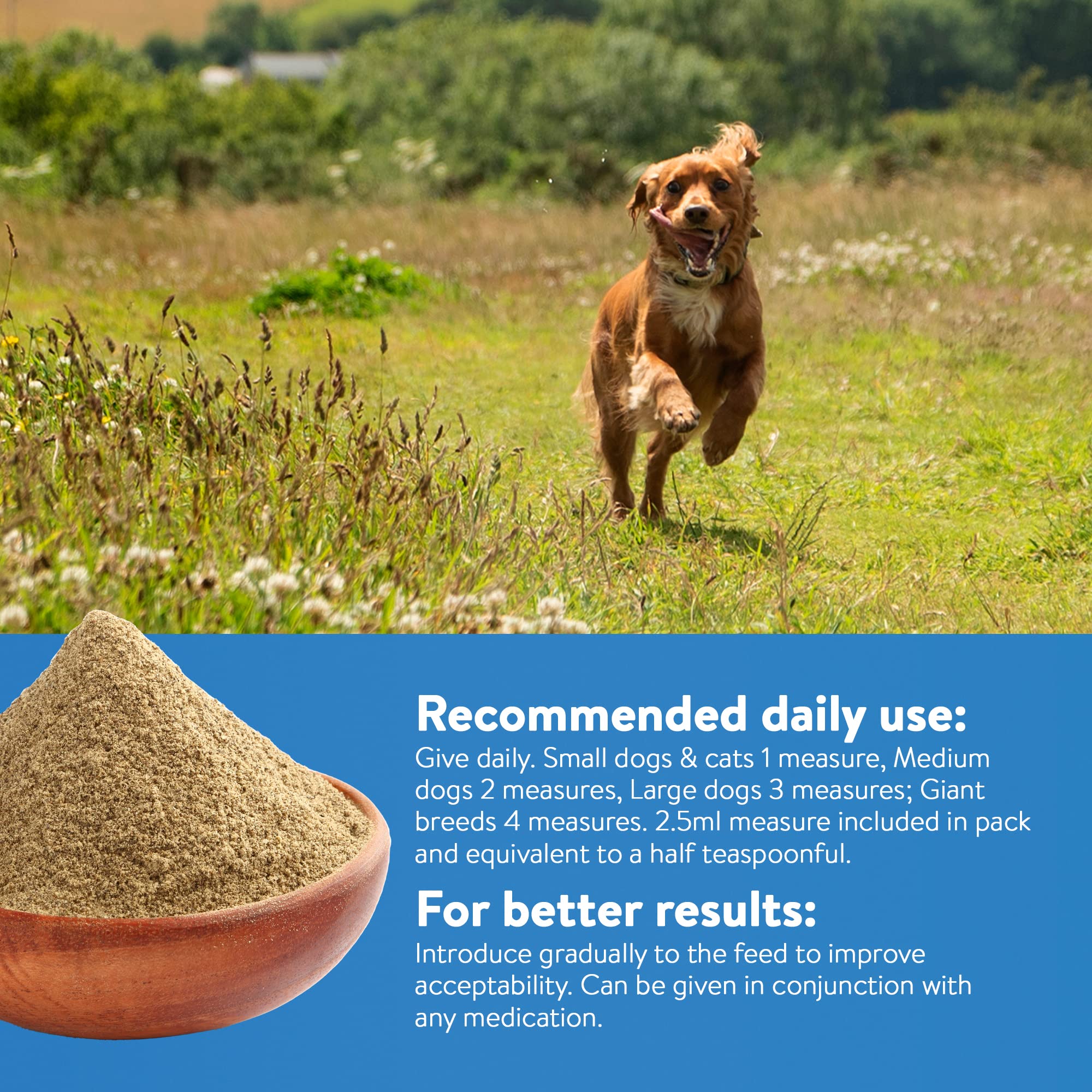 DORWEST HERBS Keeper’s Mix Sensitive Herbal Supplement for Dogs and Cats | 250g 4