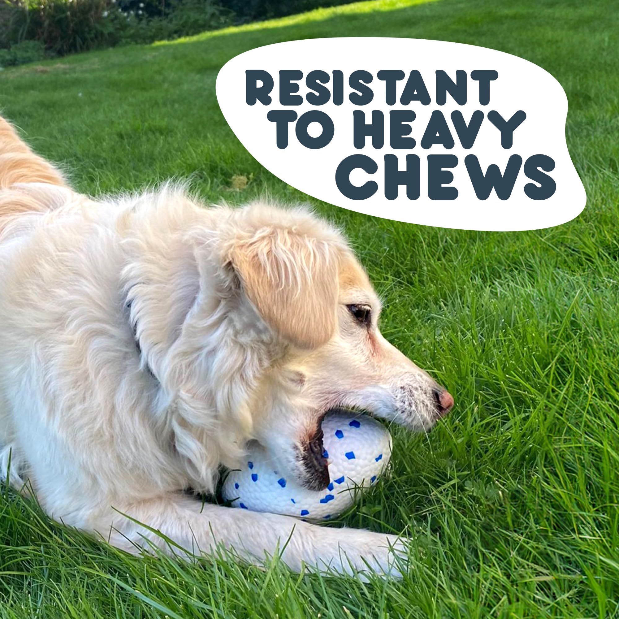 Petface Outdoor Paws Mighty Rugby Ball Dog Toy - Extra Strong ETPU | Floats | For All Breeds 2