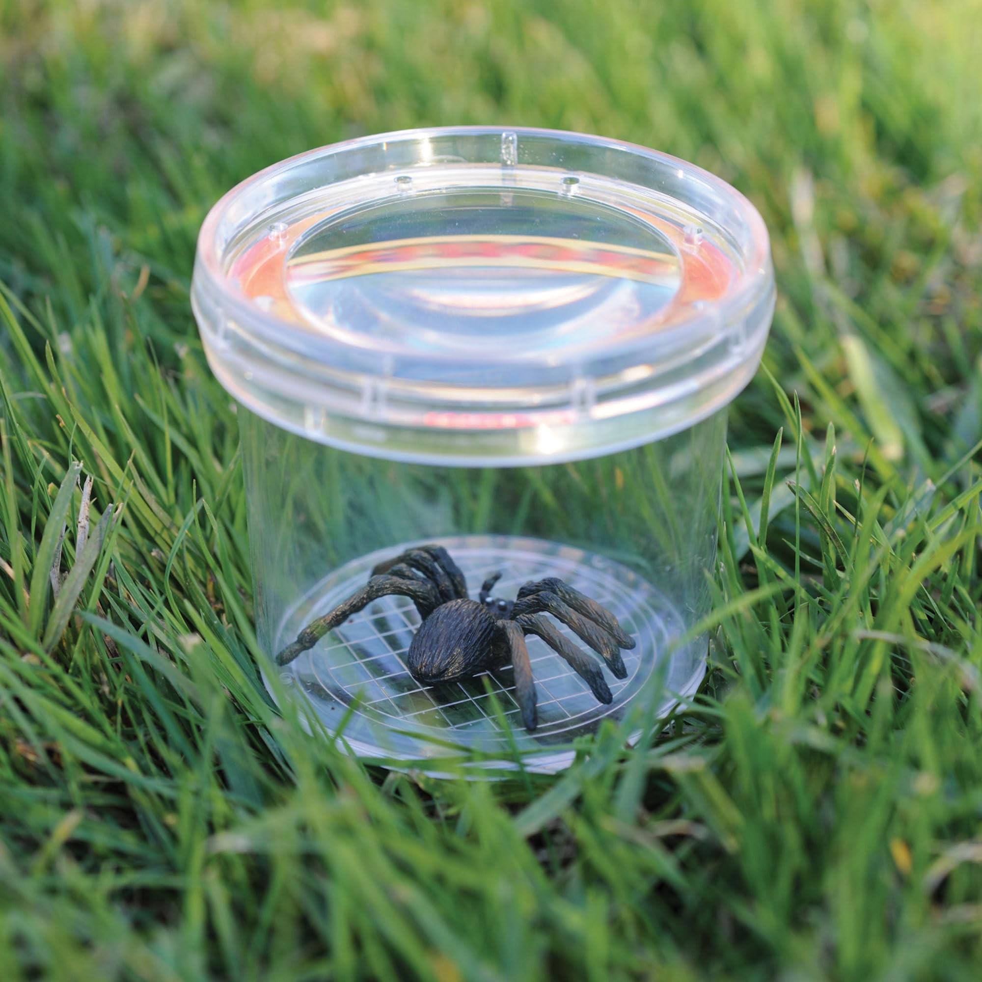 Learning Resources GeoSafari Jr. Bug Viewer - 3X Magnification | Measuring Grid Base | Ages 4+ 2