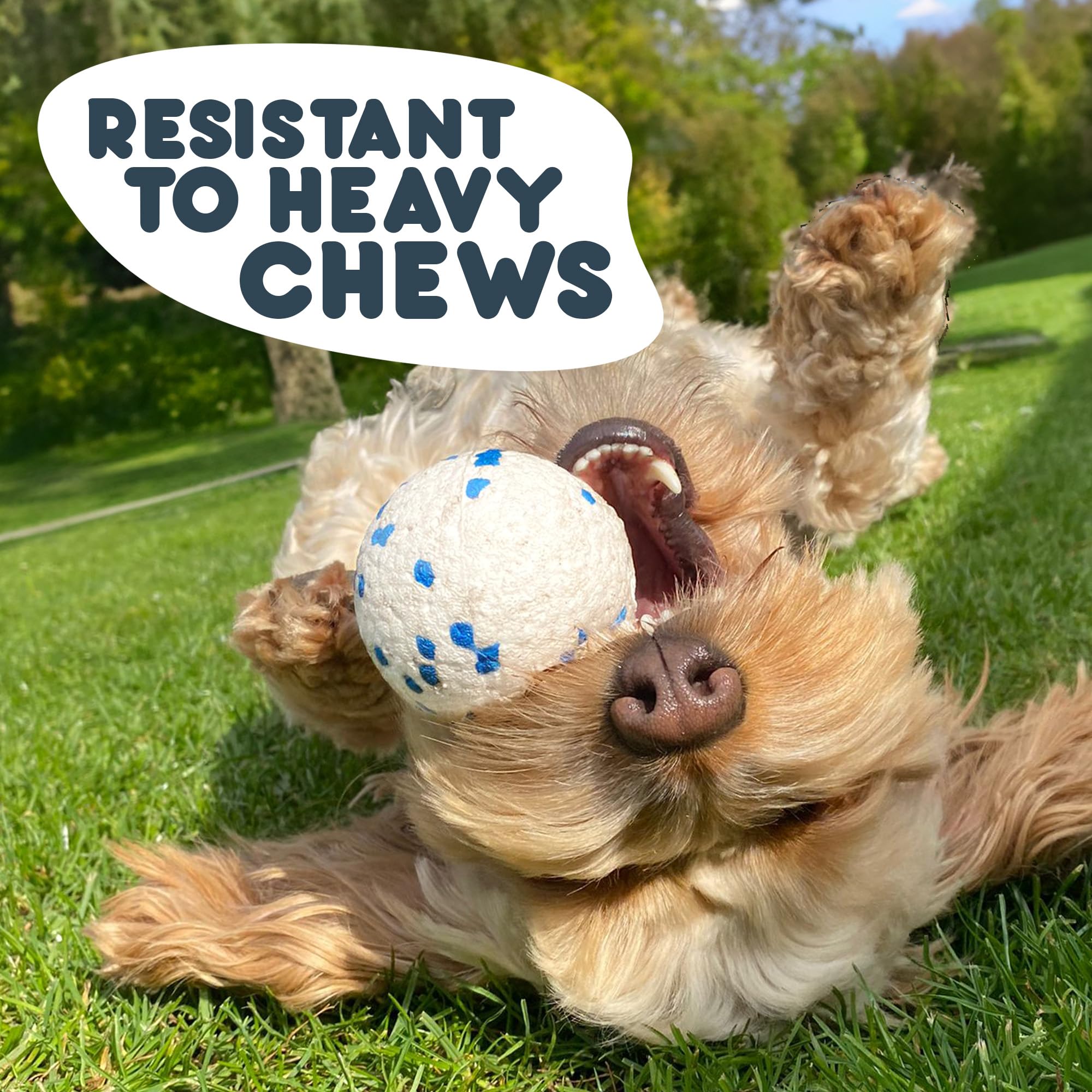 Petface Outdoor Paws Mighty Ball Dog Toy - Extra Strong, Large, Float | ETPU 2