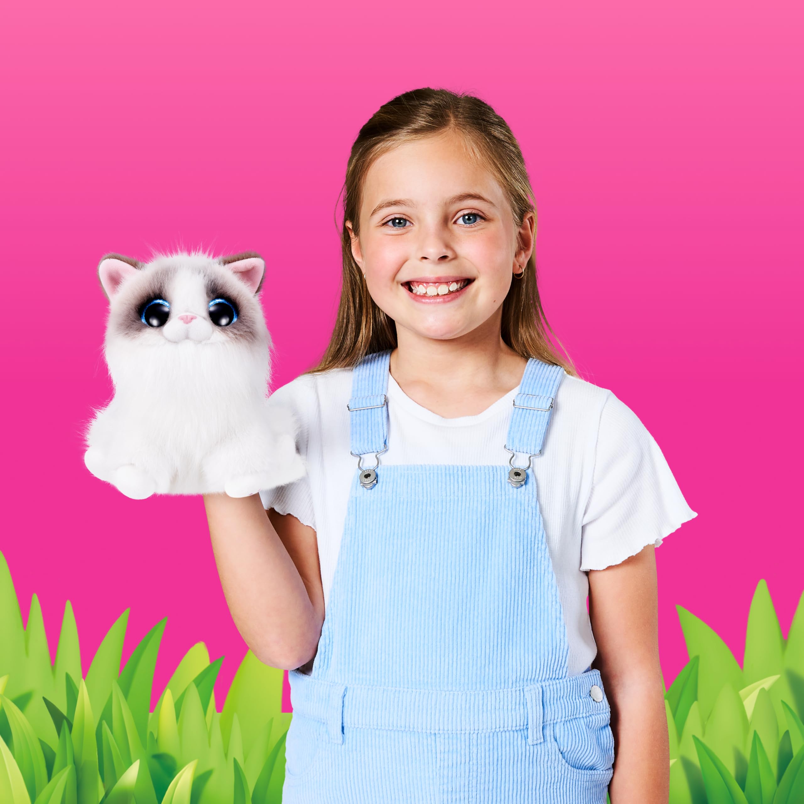 Pets Alive Smitten Kittens Series 2 British Shorthair Interactive Plush Toy by ZURU | 7.87 inches 7