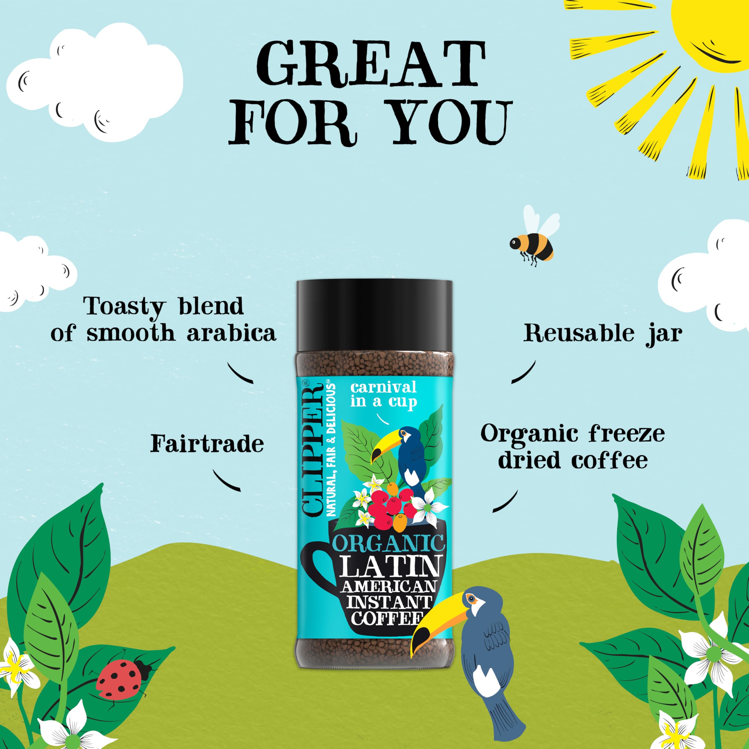 Clipper Natural, Fair & Delicious Latin American Organic Instant Coffee - 6 x 100g Jars | 600g Total 2
