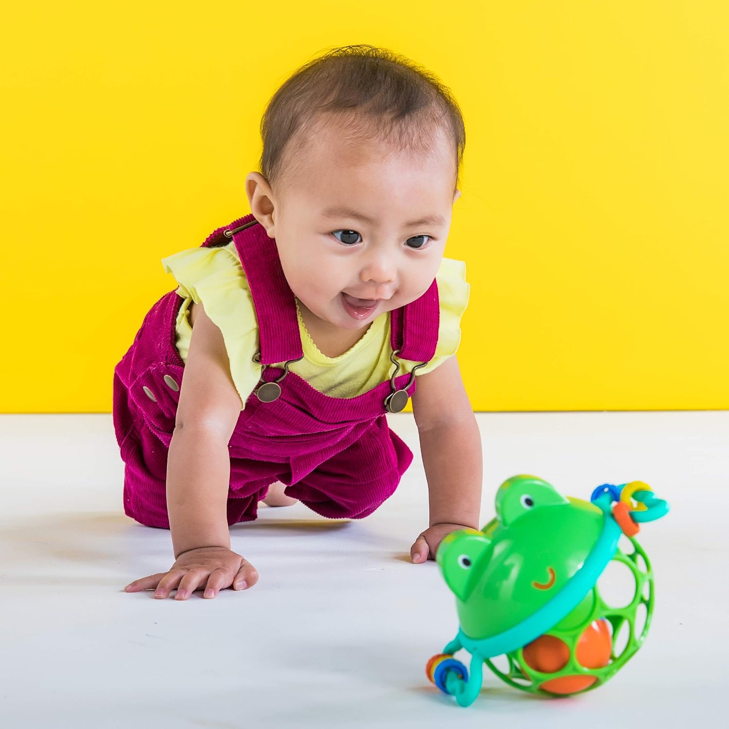 Oball Jingle & Shake Pal Frog Rattle Toy for Babies 5