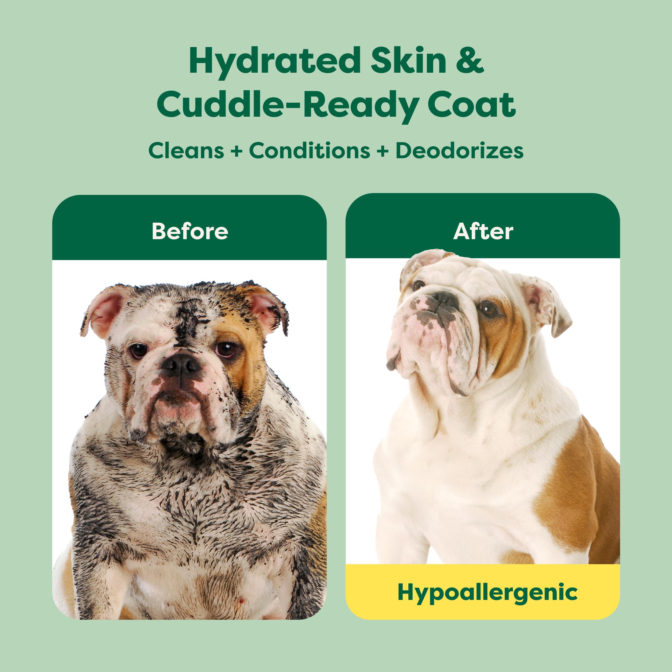 Earth Rated 3-in-1 Soothing Dog Shampoo and Conditioner with Oatmeal | White Tea & Basil Scent | 473ml 2