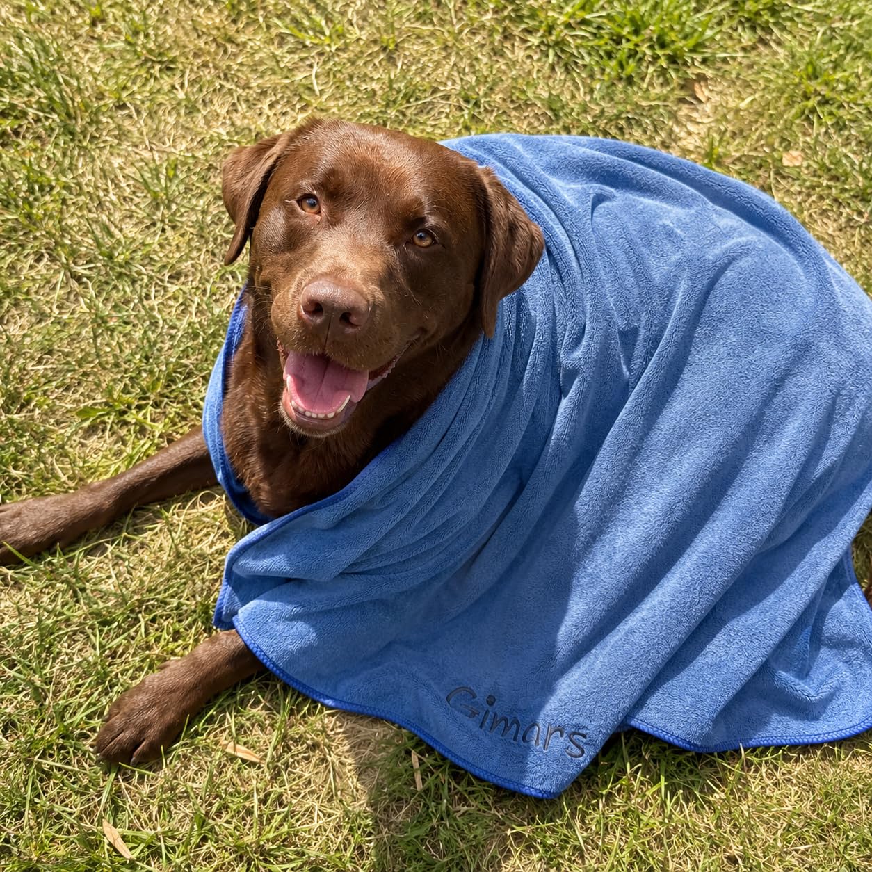Gimars Super Absorbent Microfibre Dog Towel - 2 Pack, 75x35cm, Quick Dry 3