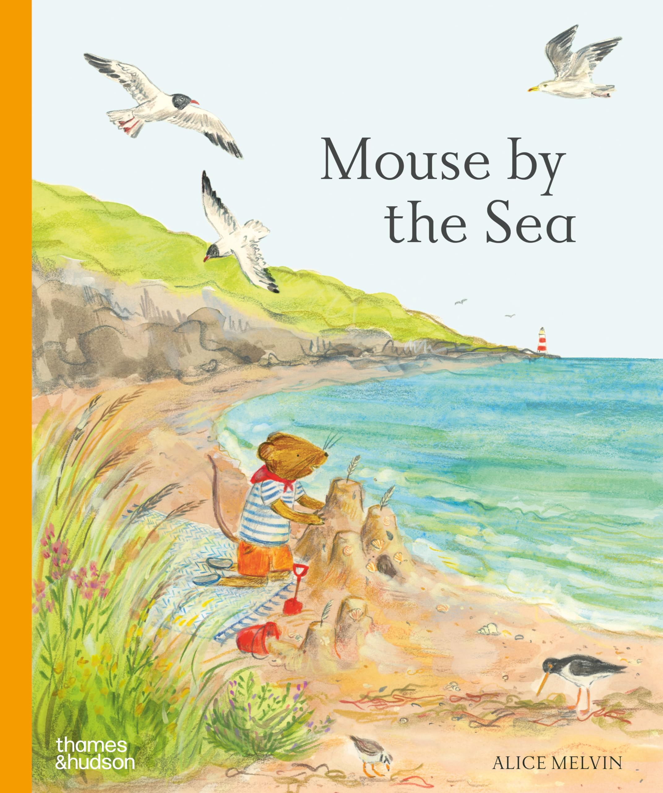 Alice Melvin Mouse's Adventures Mouse by the Sea: A Holiday in Nature - Lift-the-Flap Hardcover Book