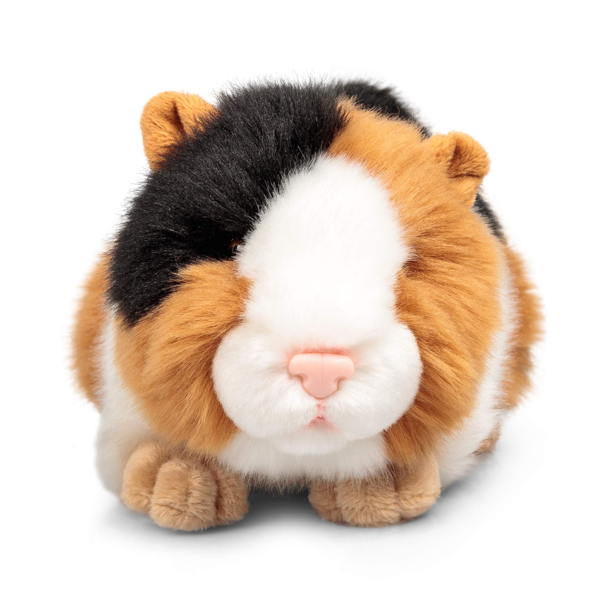 Animigos World of Nature Plush Guinea Pig - Realistic Soft Toy with Educational Booklet 4