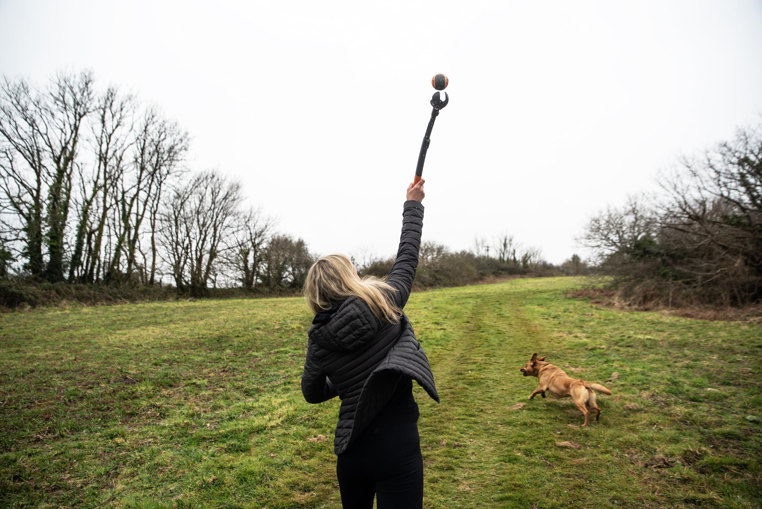 Mountain Paws Adjustable Dog Ball Thrower - Telescopic Handle | Includes 1 Tennis Ball | Lightweight 2