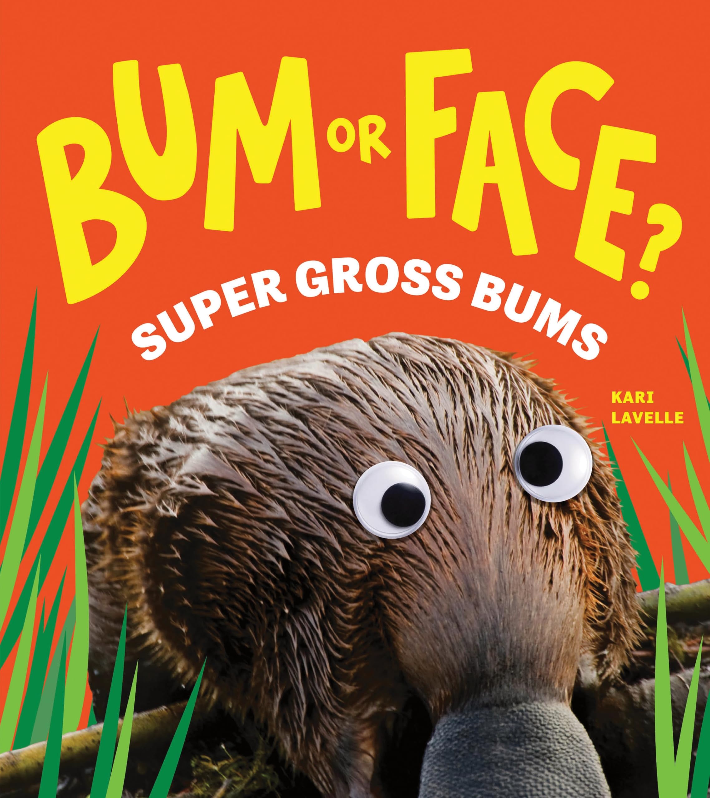 Sourcebooks Explore Bum or Face? Super Gross Bums: The Outrageous Animal Guessing Game Book | Ages 4-8 | Paperback