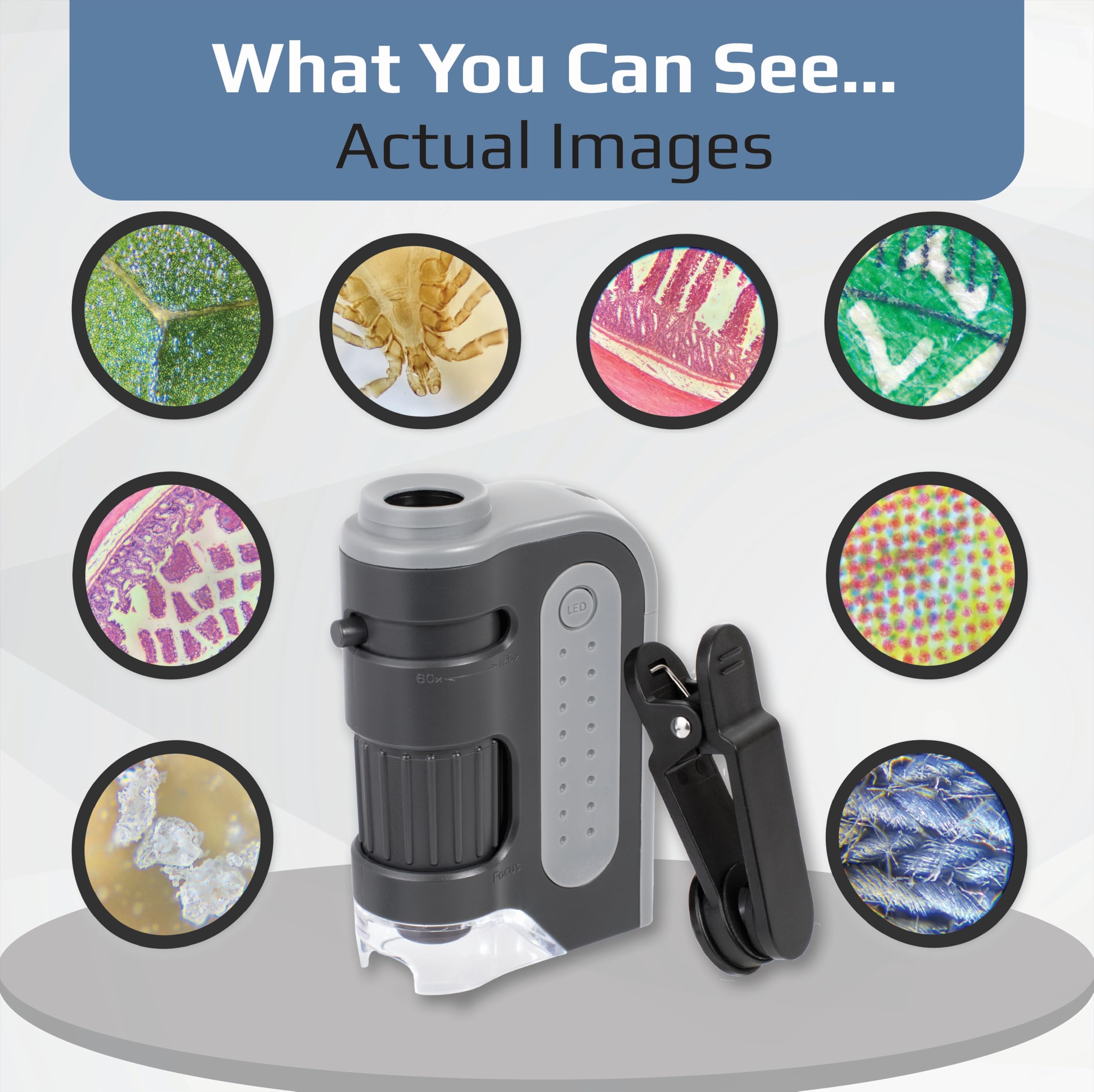 Carson MM-350 MicroBrite Pro Pocket Microscope with Smartphone Adapter 5