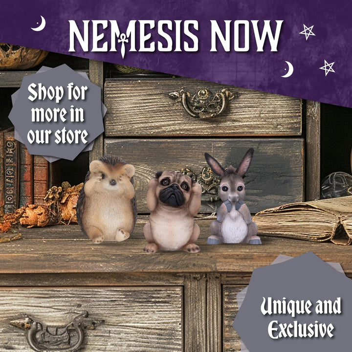 Nemesis Now Animal Collections - Three Wise Bats Figurine Set