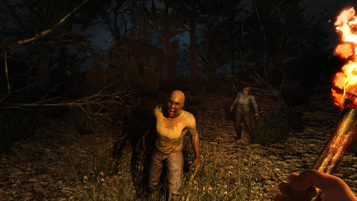 7 Days to Die - PlayStation 4 Standard Edition
