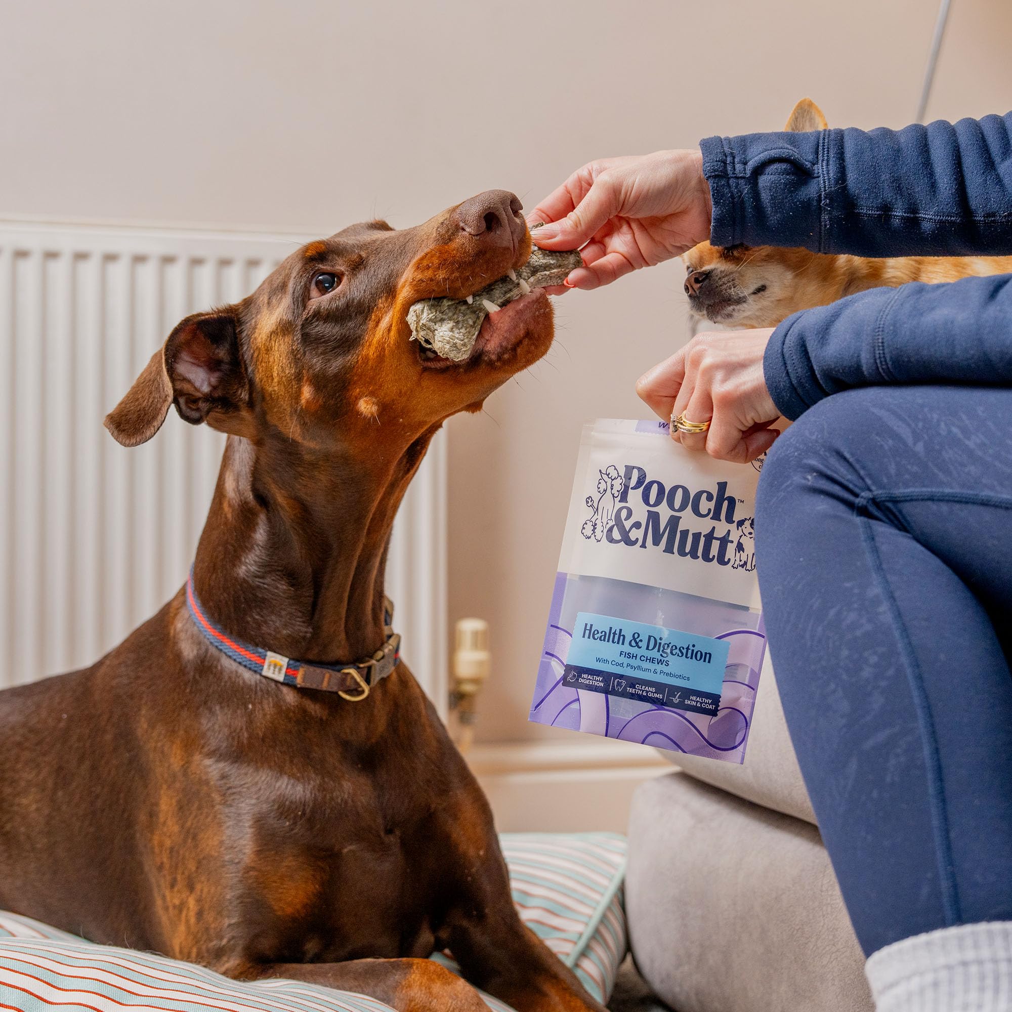 Pooch & Mutt Digestive Support Fish Chews - Long Lasting Cod Skin Sticks for Adult Dogs | 90g Pouch 2