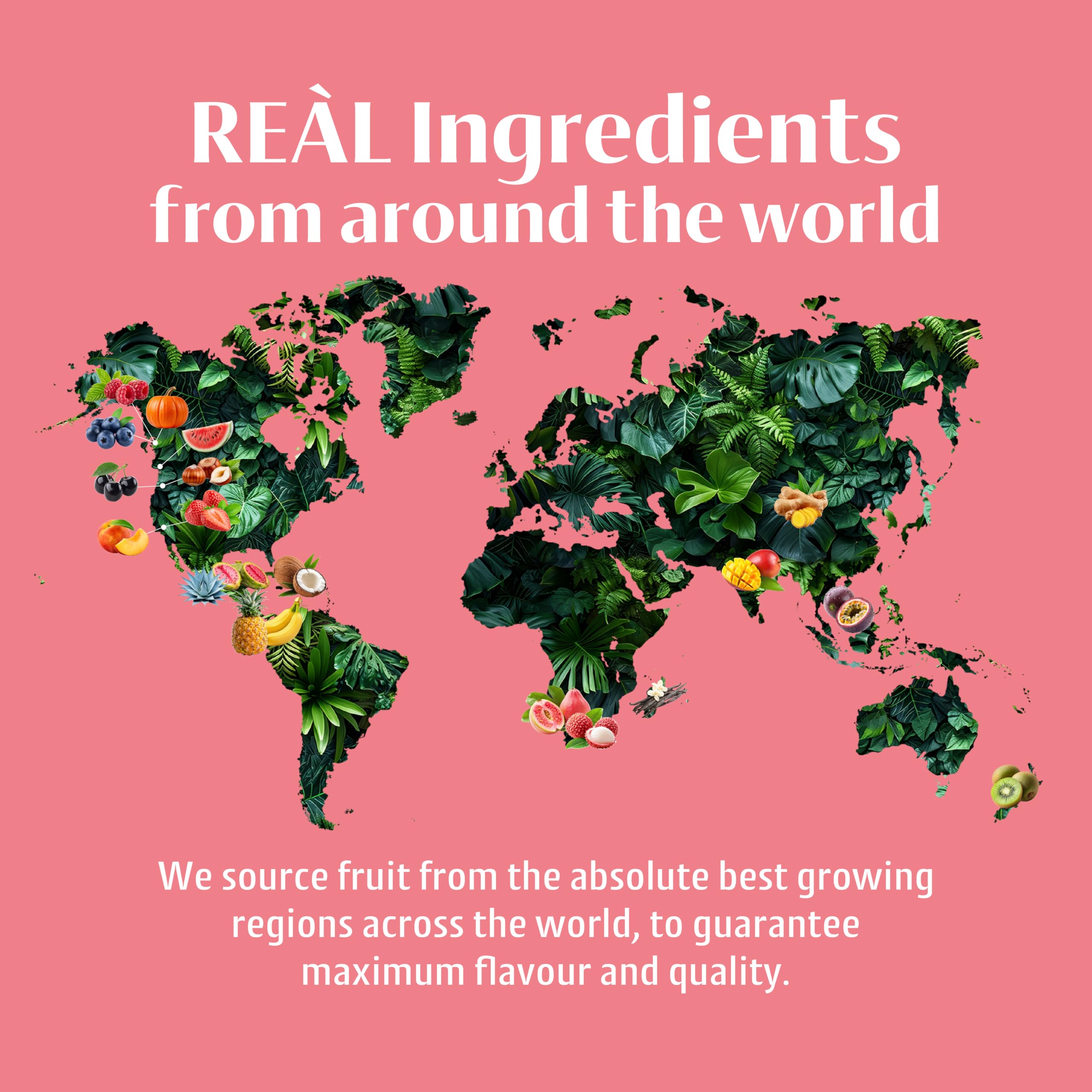 Reàl Infused Exotics Lychee Puree Infused Fruit Syrup - 40% Real Lychee | 500 ml Squeezy Bottle 6