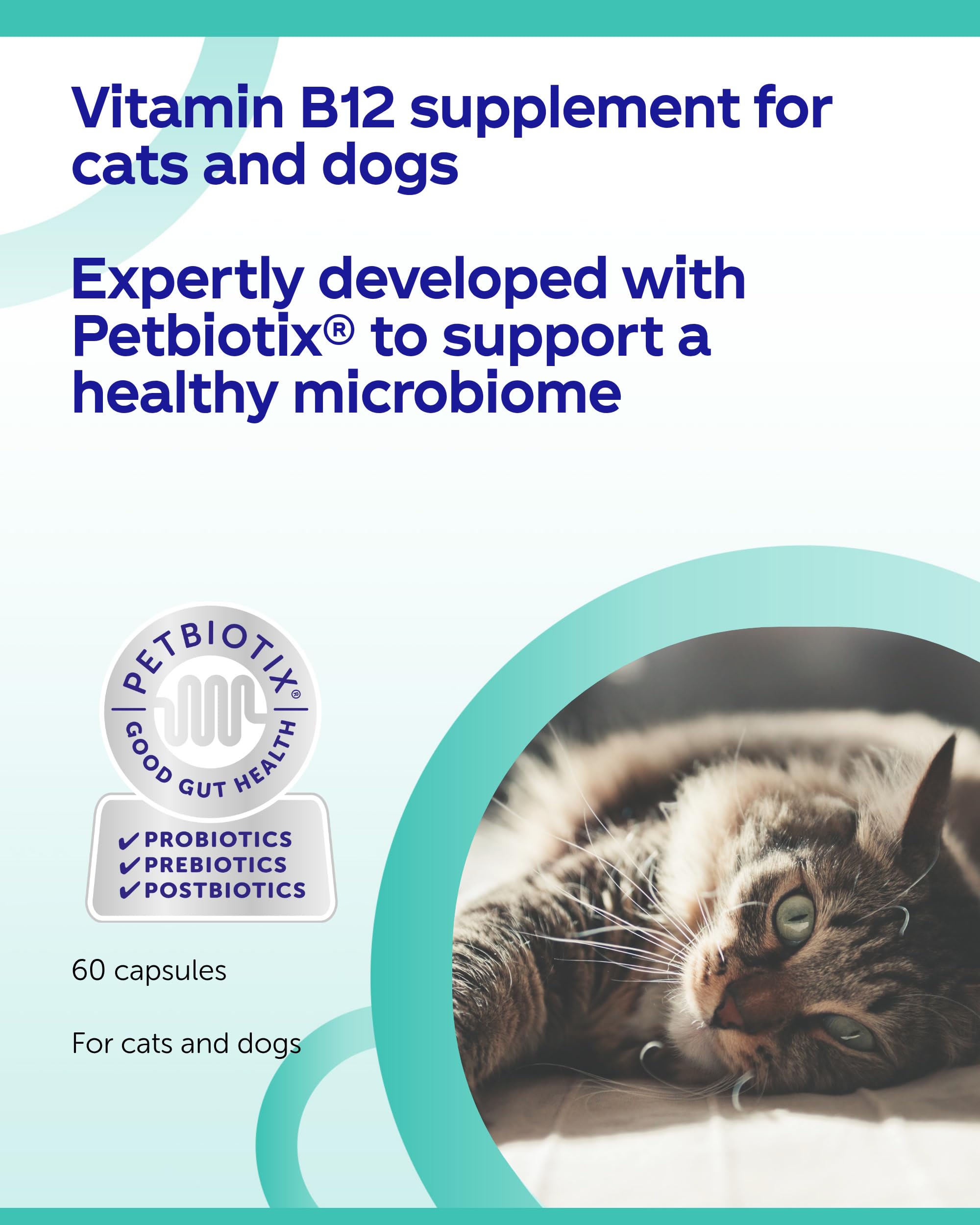 Protexin Cobalaplex Multivitamin Capsules for Dogs & Cats - B12, Folic Acid & Prebiotics | 60 Count