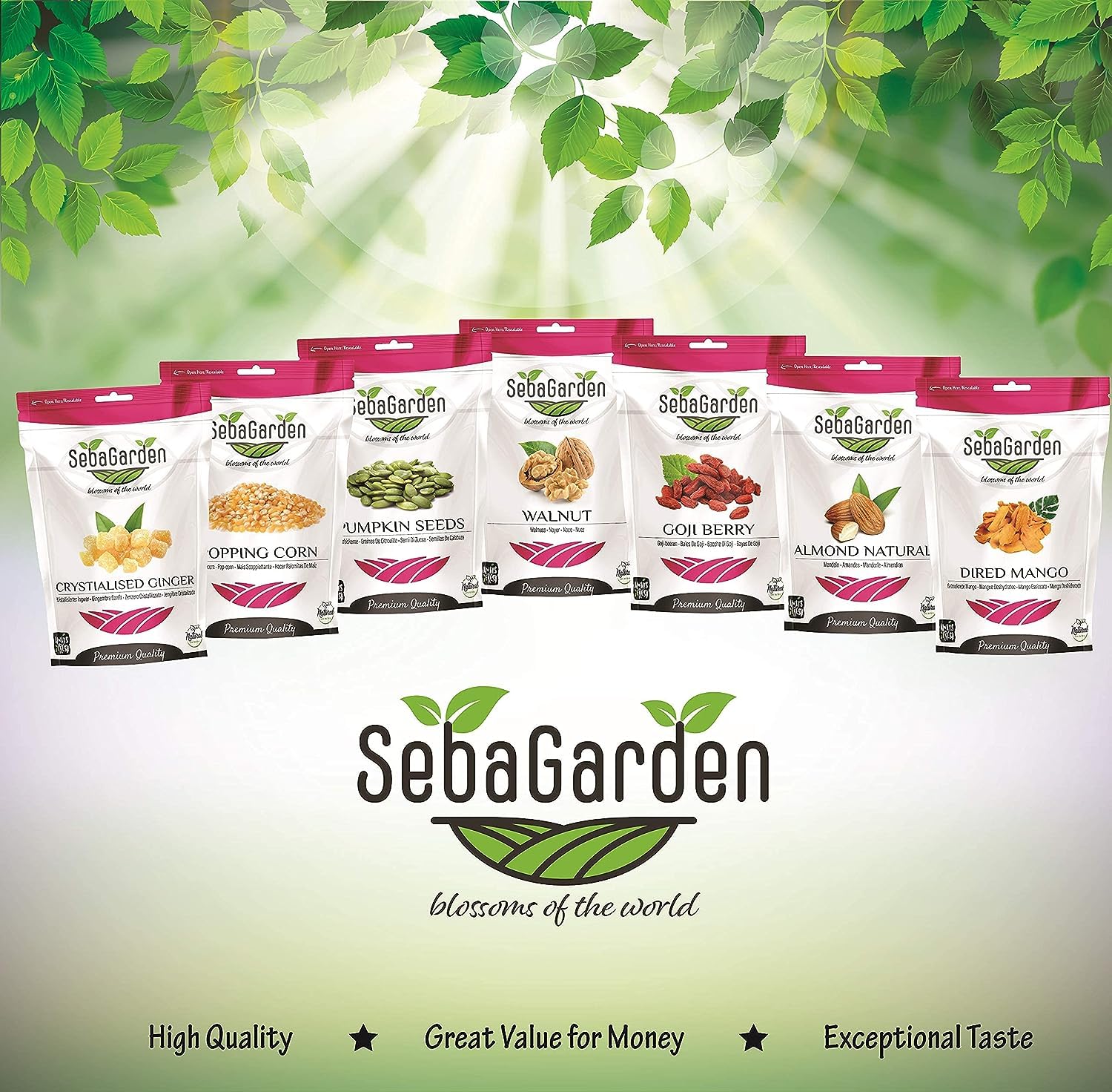 Seba Garden Whole Flax Seed (Linseeds) - 1 kg Premium Grade | Non GMO 4