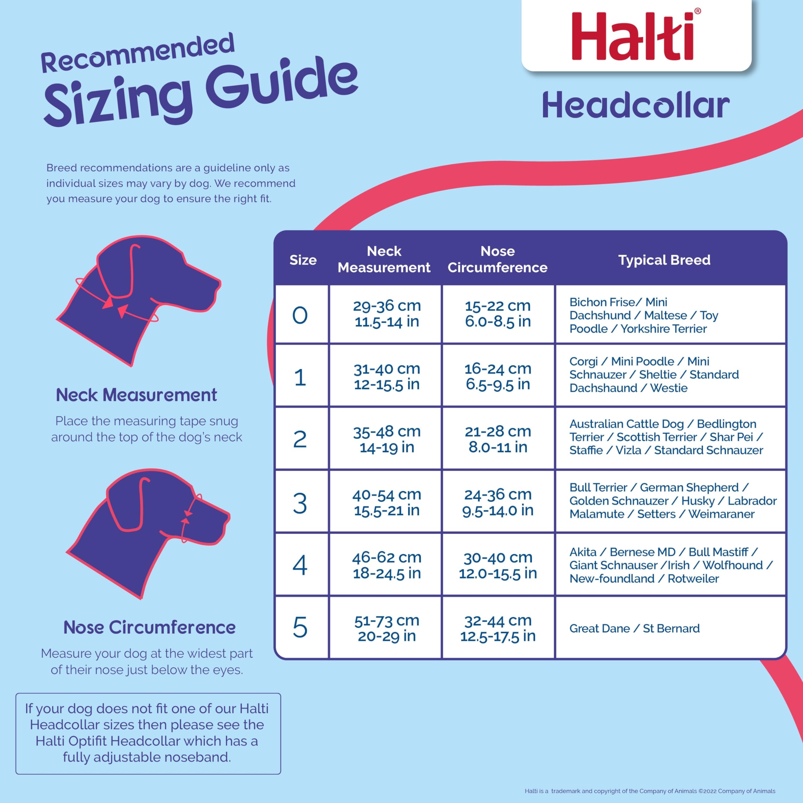 Halti Headcollar Size 4 Red - Stops Pulling | Padded Neoprene Nose Band | Reflective Accents 3