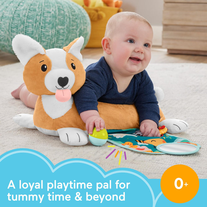 Fisher-Price 3-in-1 Puppy Tummy Time Wedge - Plush Support with Rattle, Teether & Mirror
