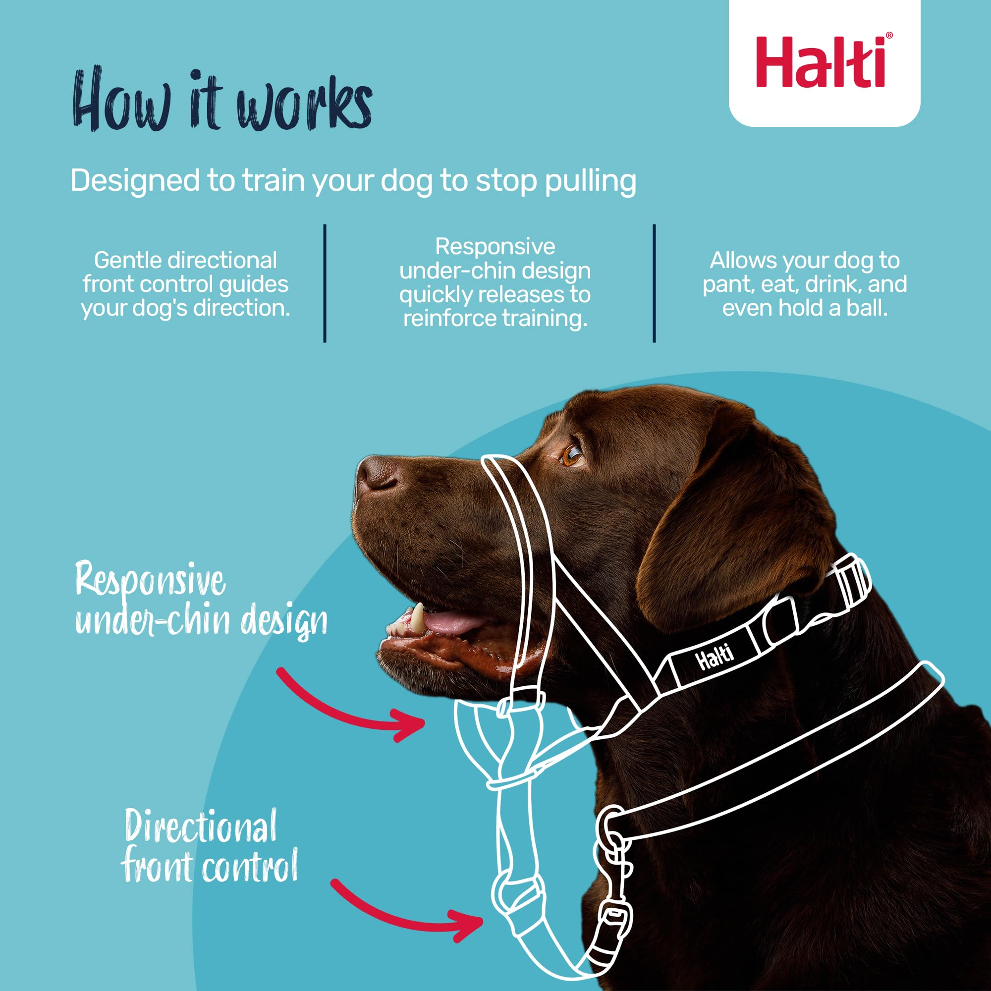 Halti Headcollar for Dogs - Stops Pulling | Size 3, Purple 2