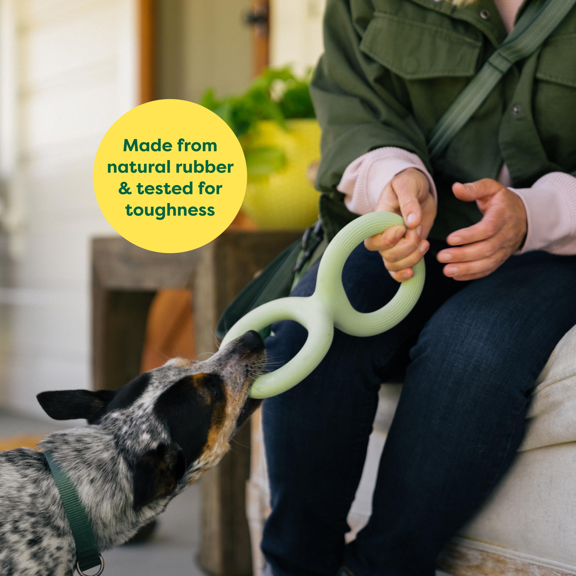 Earth Rated Tug of War Dog Toy - Interactive Pull Toy for Small Dogs | Natural Rubber | Green 8
