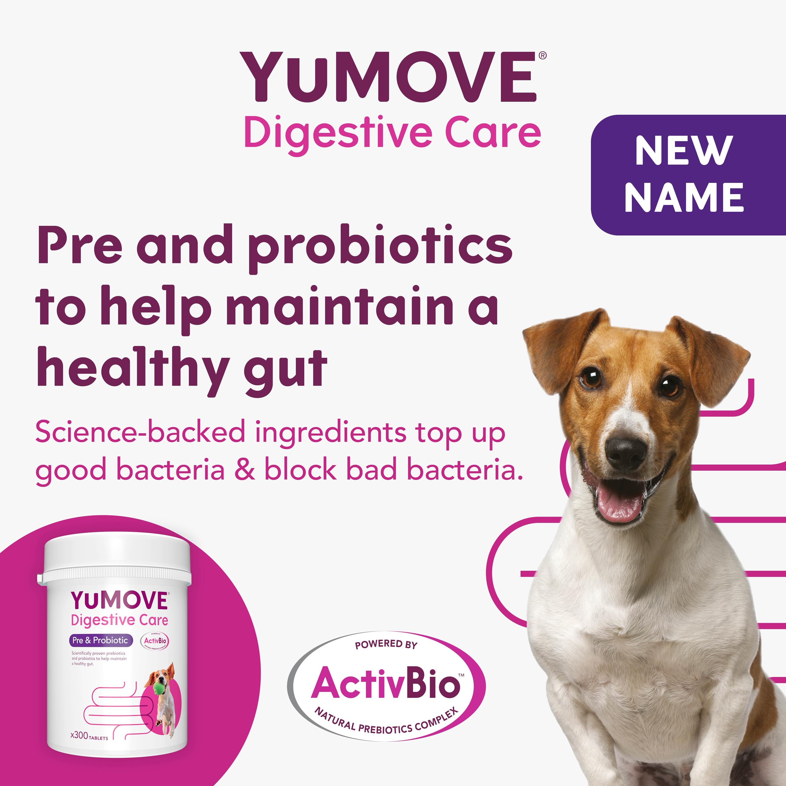 YuMOVE Digestive Care Dog Pre and Probiotics Supplement for Gut Health | 300 Tablets 2
