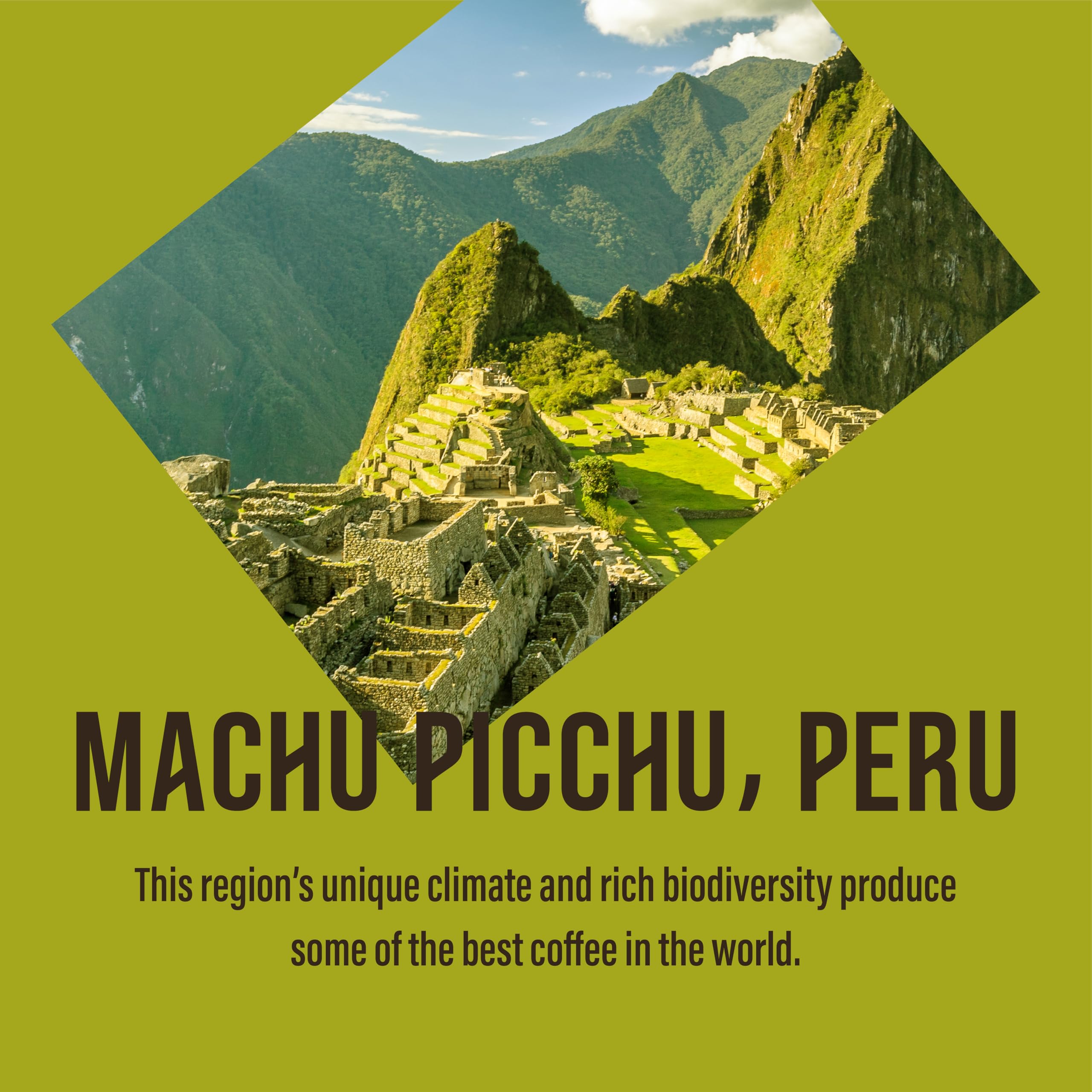 Cafedirect Machu Picchu Organic Ground Coffee, 227g 7