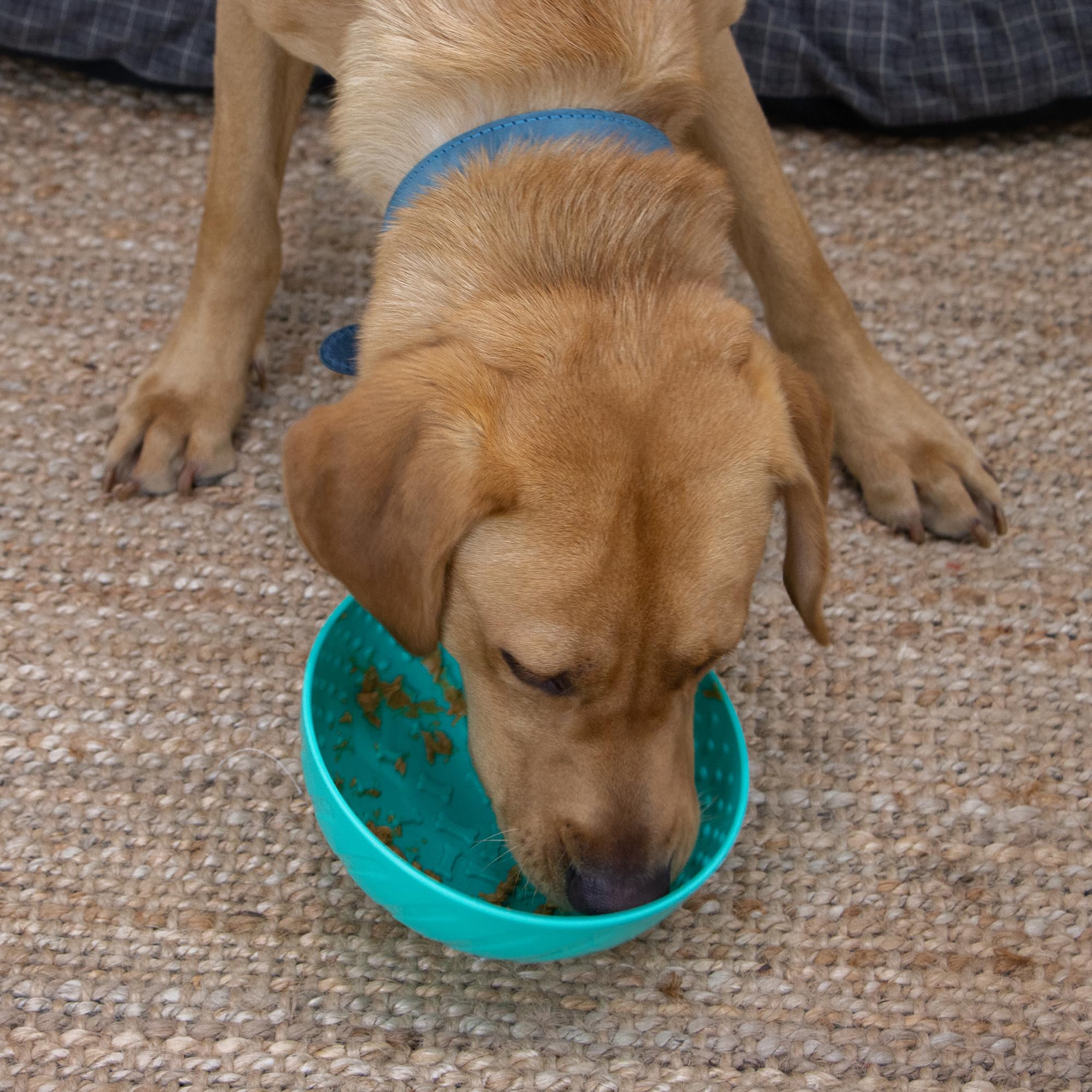 Ancol Örva Pet Enrichment Wobble Bowl - Interactive Slow Feeder for Dogs | Green | Durable 4