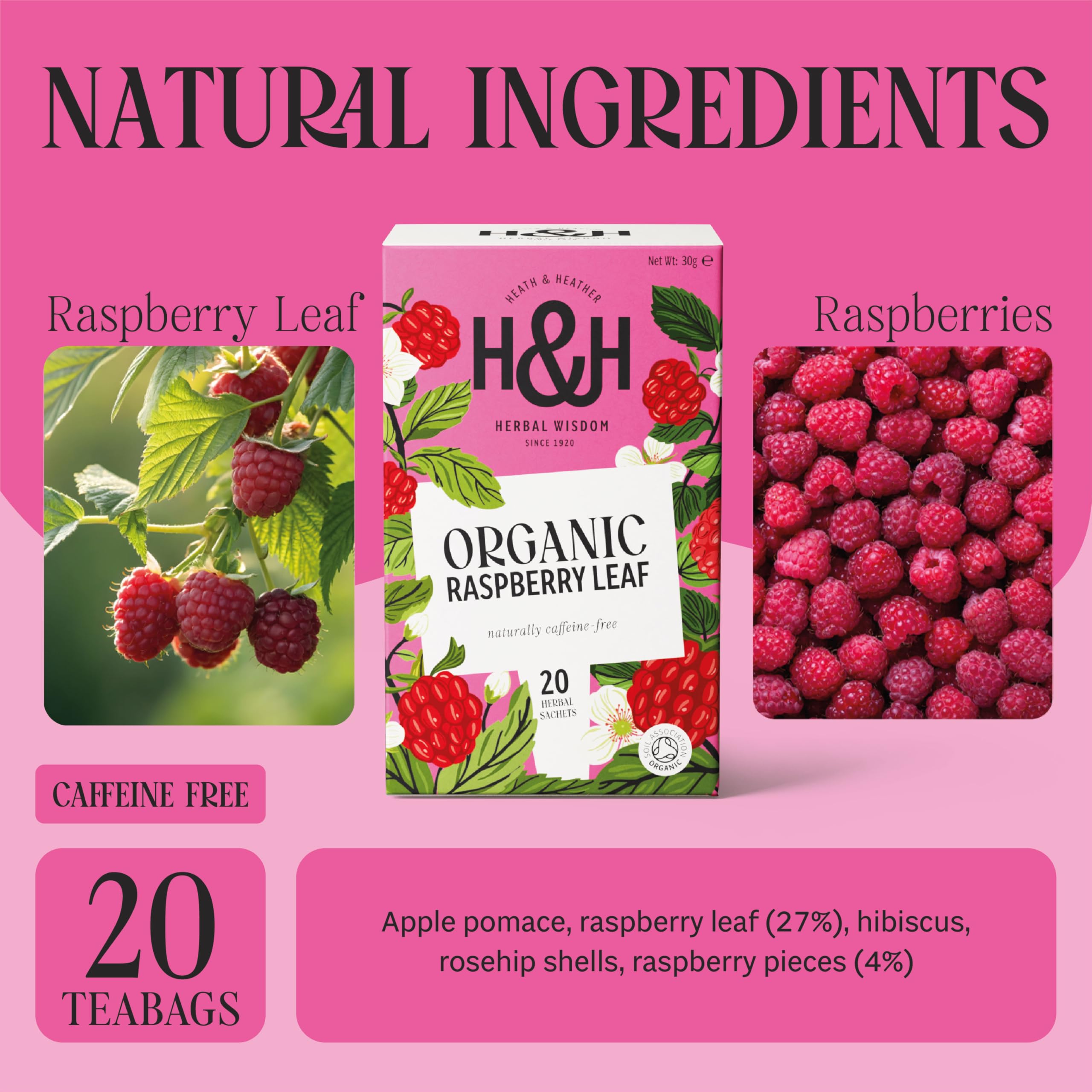 Heath & Heather Organic Raspberry Leaf Herbal Tea - Supports Women's Health | 20 Count Teabags
