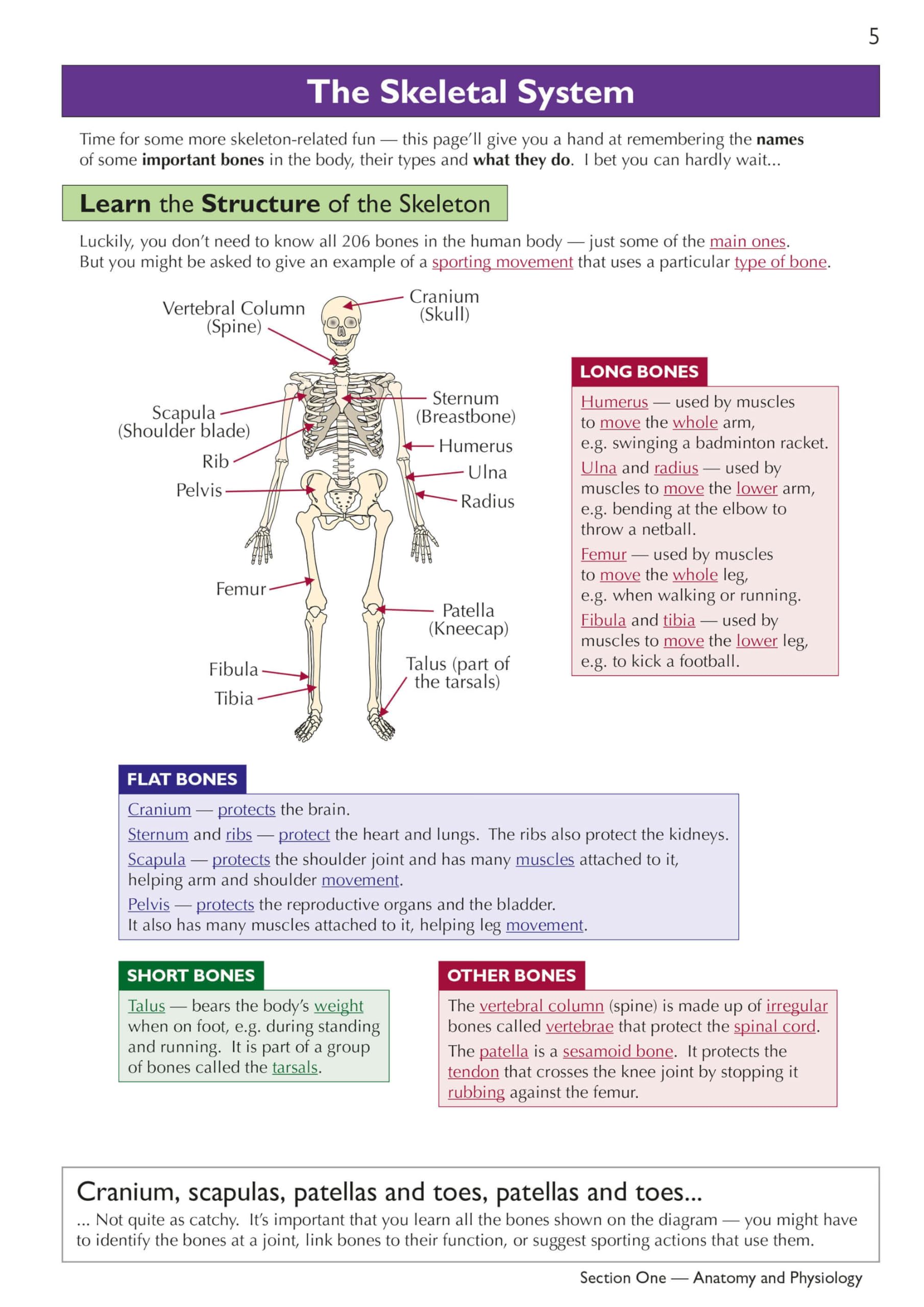 CGP Grade 9-1 GCSE Physical Education AQA Complete Revision & Practice Book | Paperback | 152 Pages 3