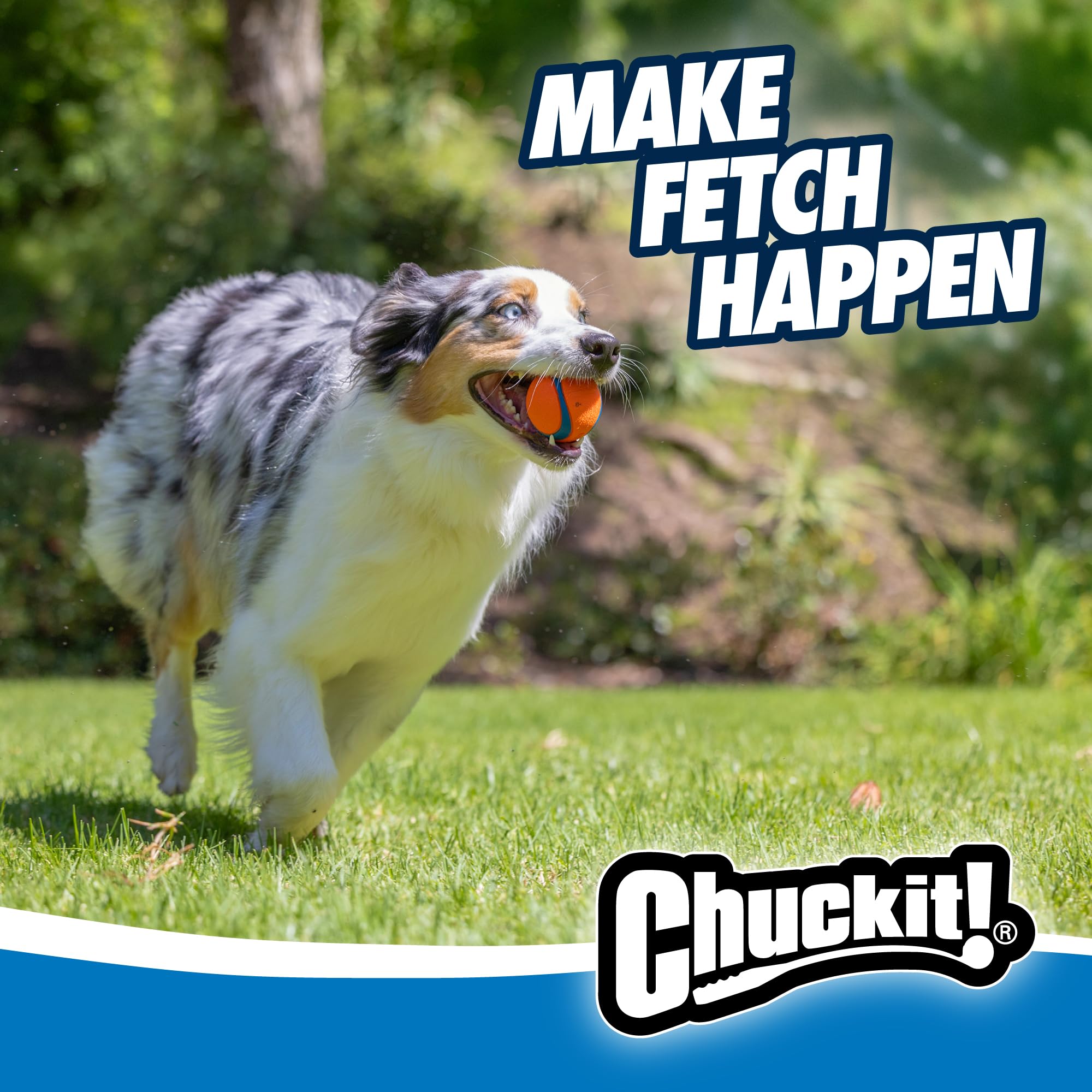 Chuckit! Ultra Ball - Durable High Bounce Rubber Dog Ball for Fetch | Launcher Compatible | Medium (2 Pack) 2