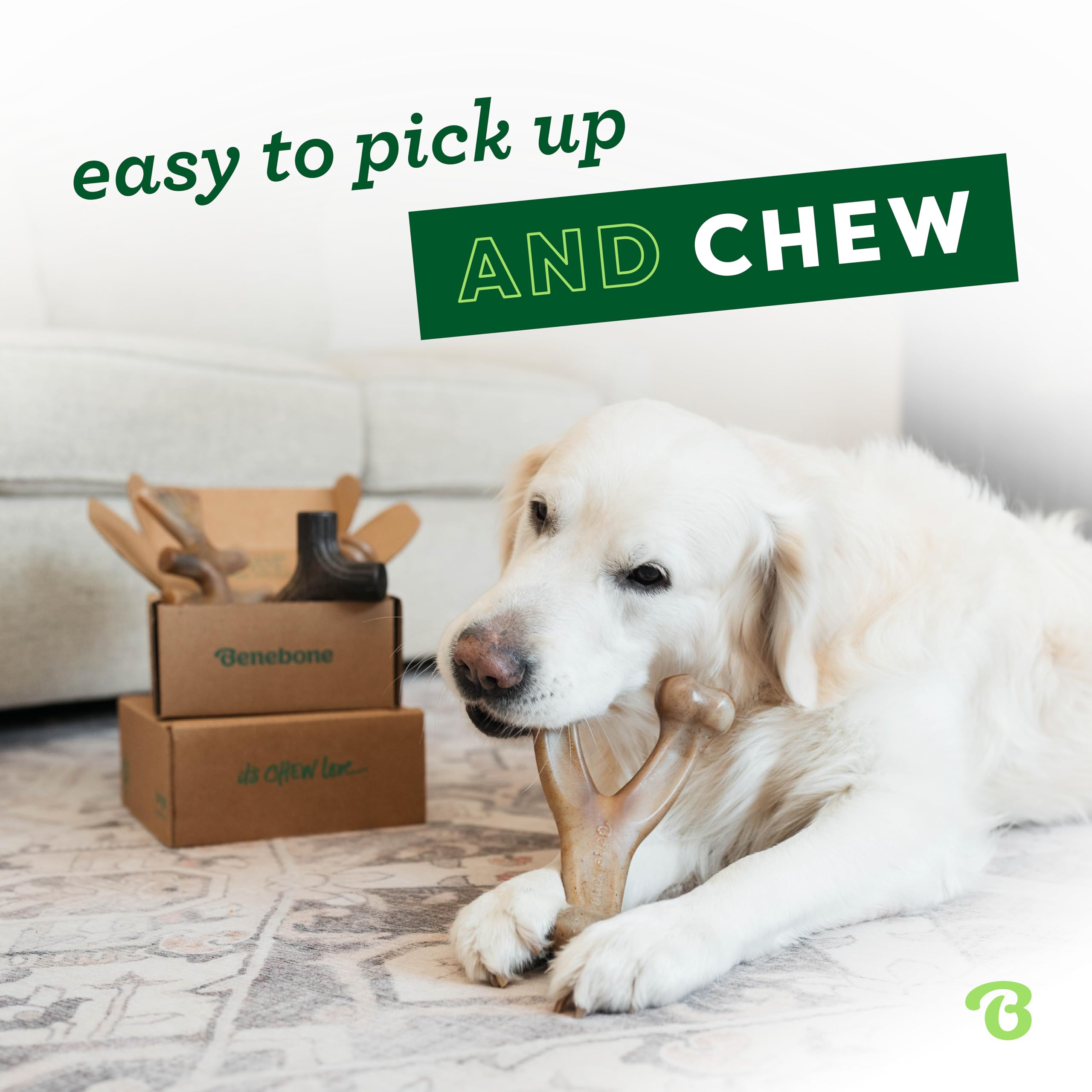 Benebone Indestructible Dog Chew Toy Gift Box - 4 Pack for Large Dogs up to 41kg