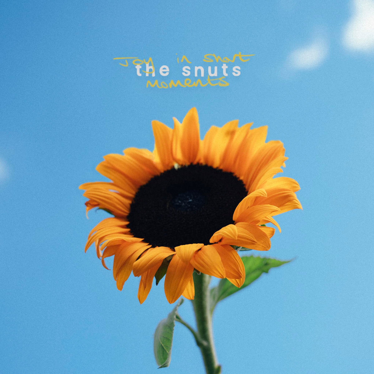 The Snuts - Joy In Short Moments [Vinyl]