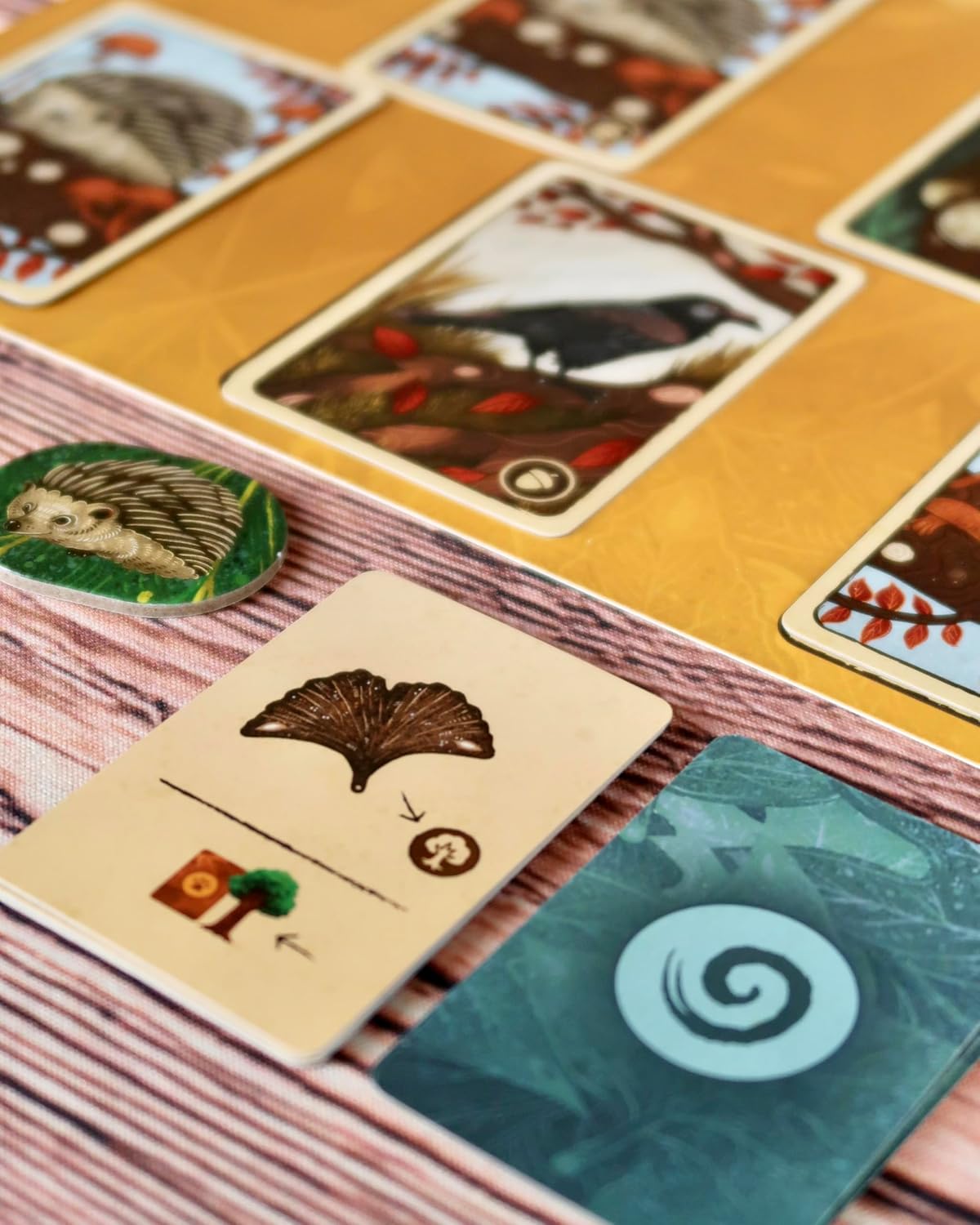 Weird City Games Leaf Family Card Game for Ages 10+ | 1-4 Players | 30-45 Minute Play Time 6