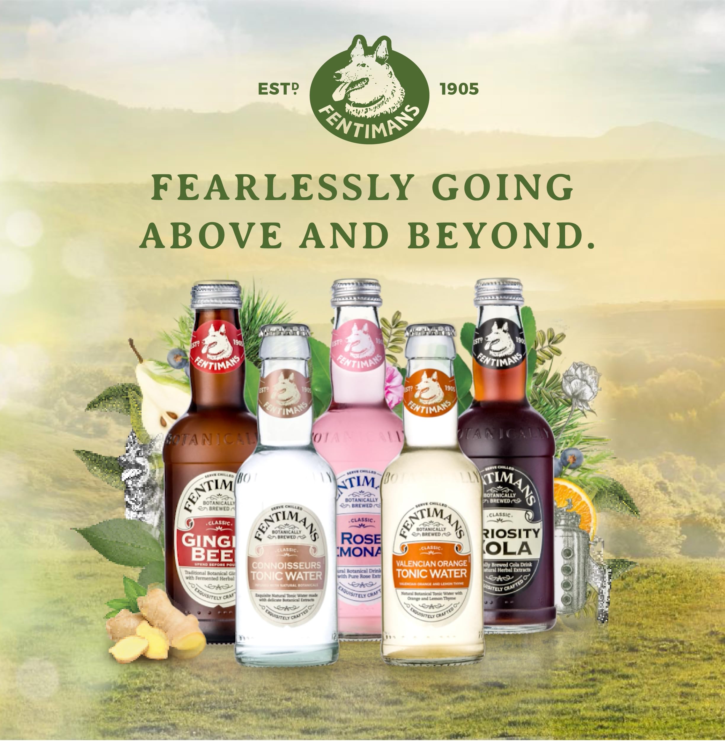 Fentimans Connoisseurs Tonic Water - Botanically Brewed with Natural Botanicals & Quinine 4