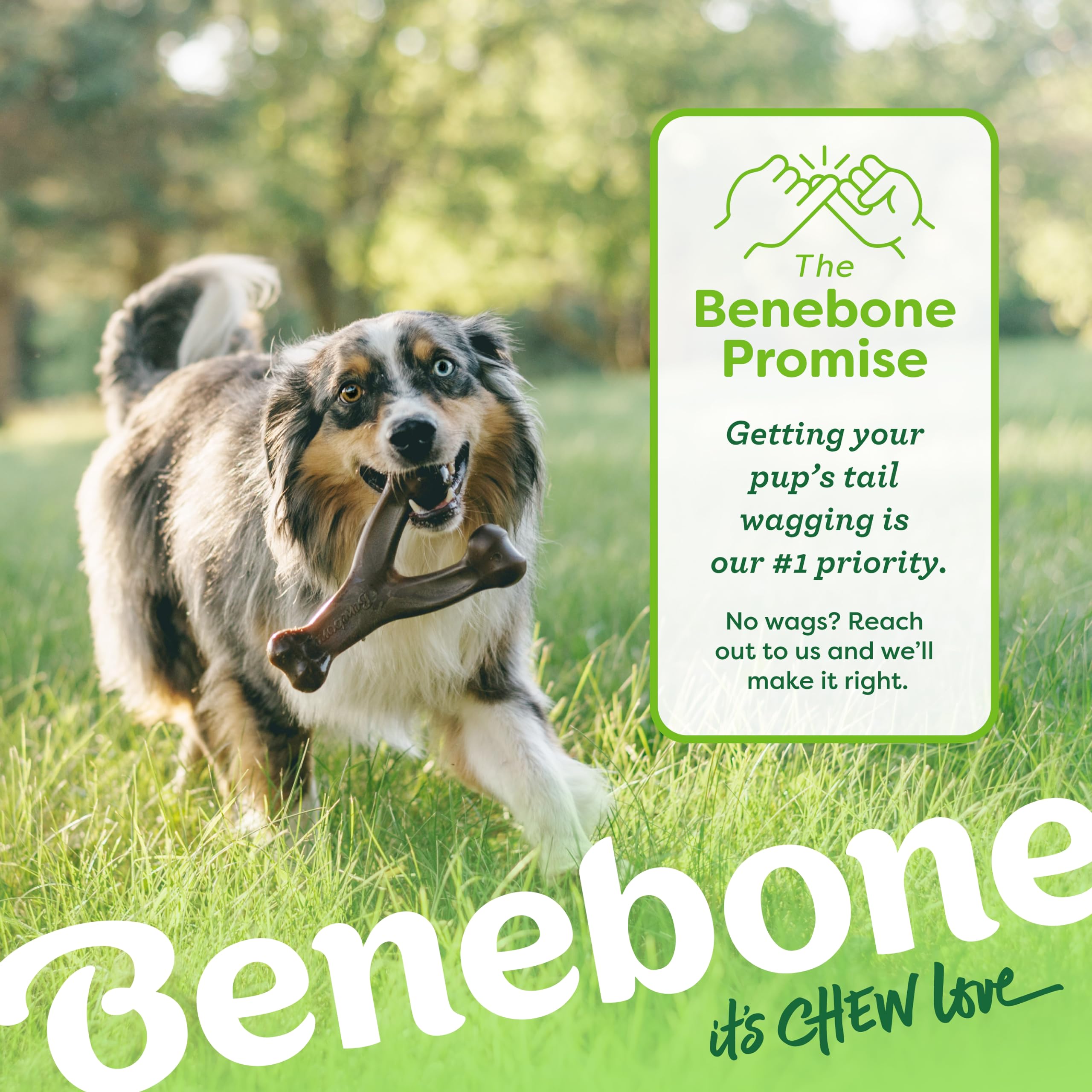 Benebone Indestructible Wishbone Dog Chew Toy - Real Peanut Flavor | Medium Dogs | Heavy Duty 6