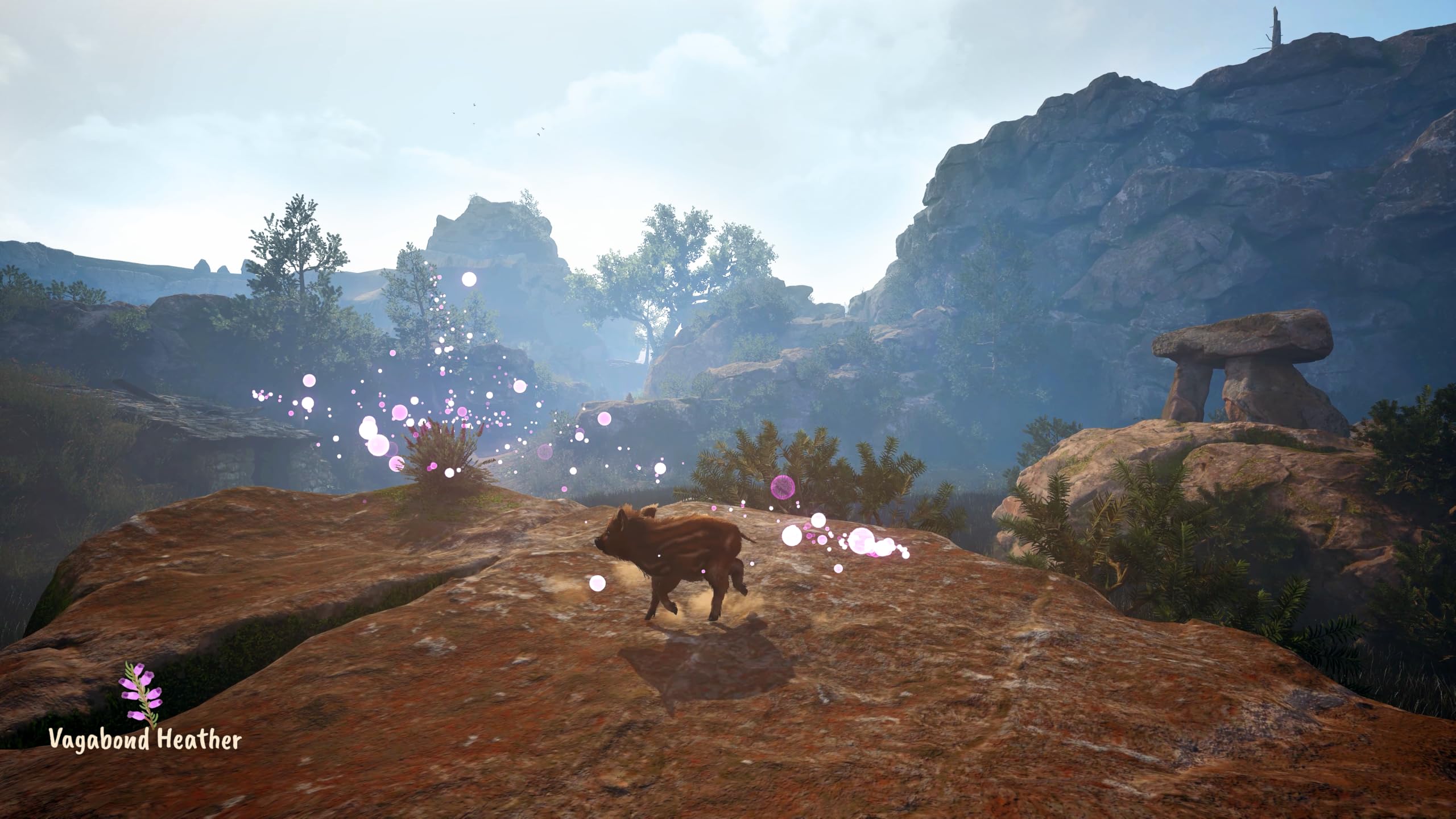 Adorable Adventures [PS5] 3