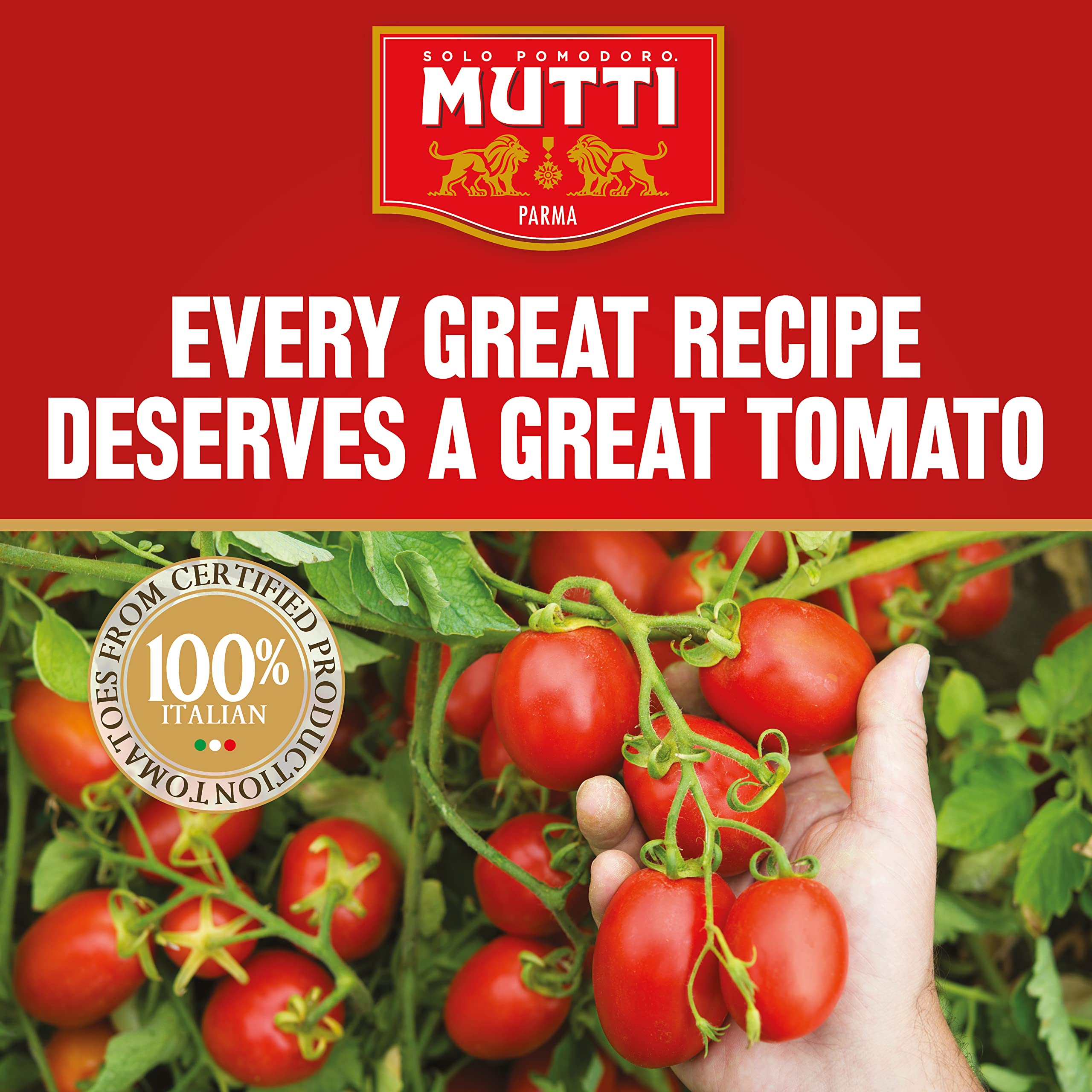 Mutti Finely Chopped Tomatoes 3 x 400g 5