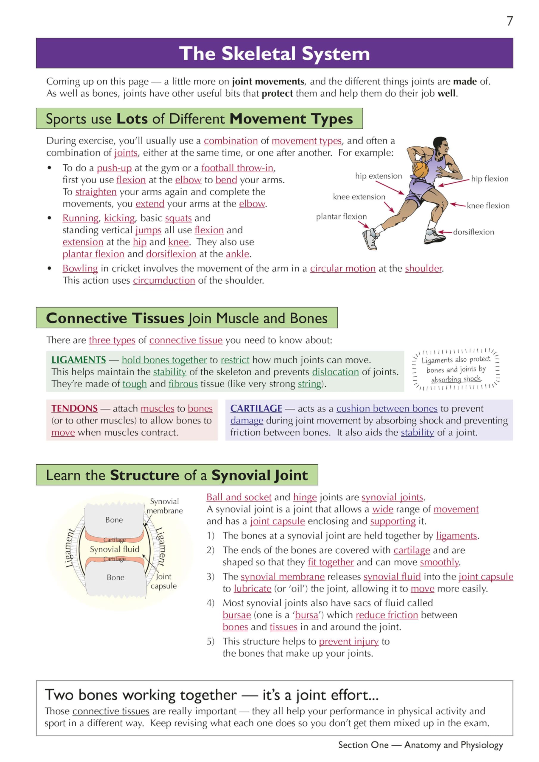 CGP Grade 9-1 GCSE Physical Education AQA Complete Revision & Practice Book | Paperback | 152 Pages 5