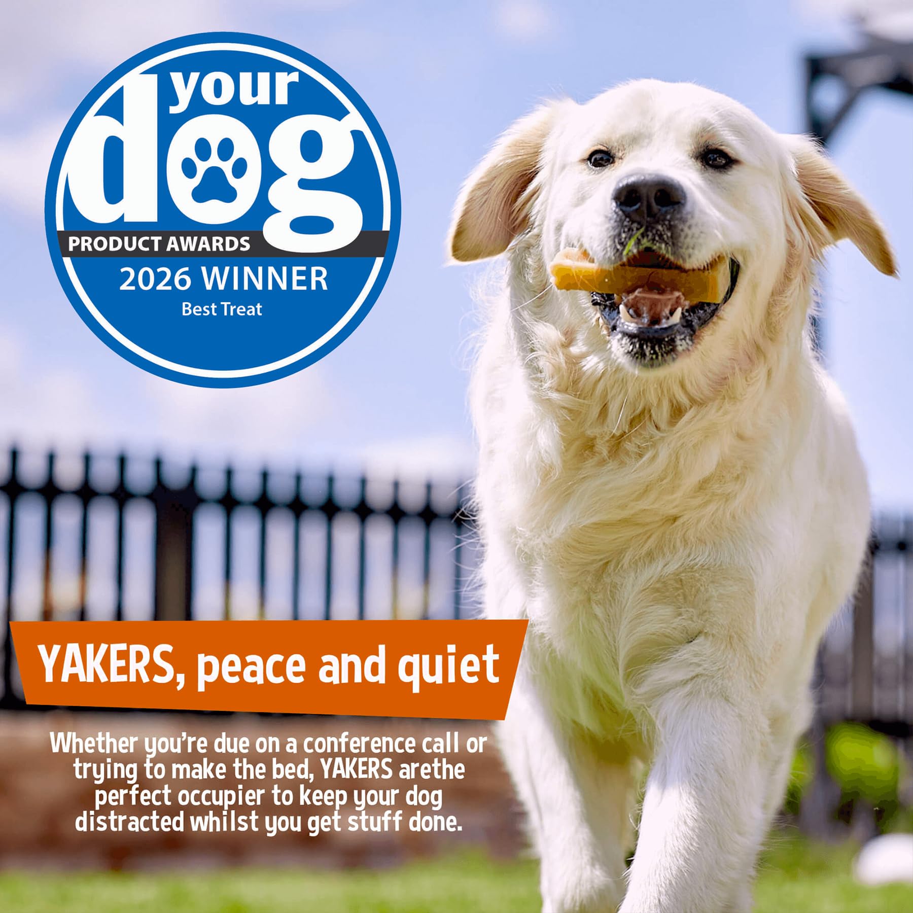 Yakers Peanut Butter & Banana Dog Chew for Adult Dogs | 140g Stick 6