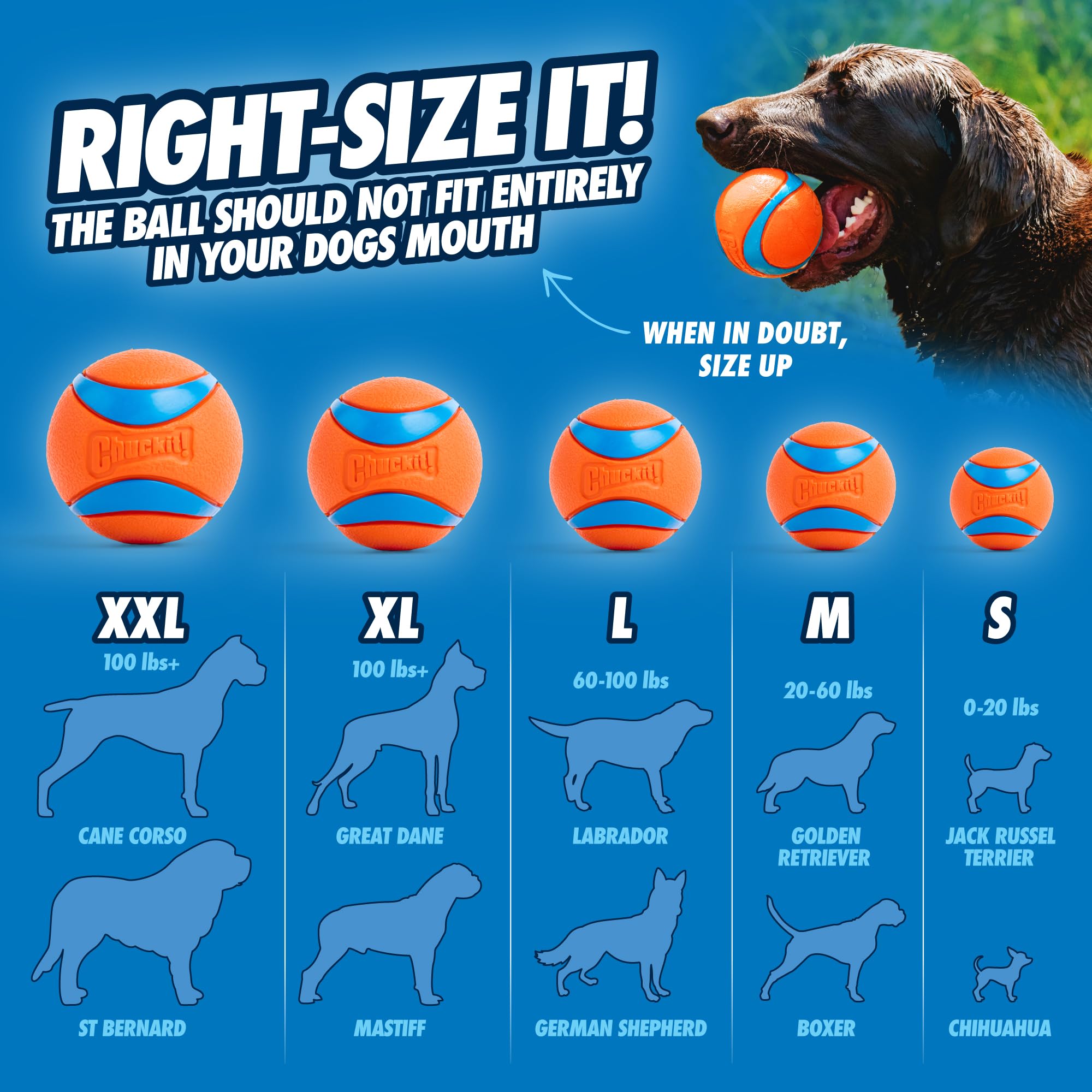 Chuckit! Ultra Ball - Durable High Bounce Rubber Dog Ball for Fetch | Launcher Compatible | Medium (2 Pack) 4