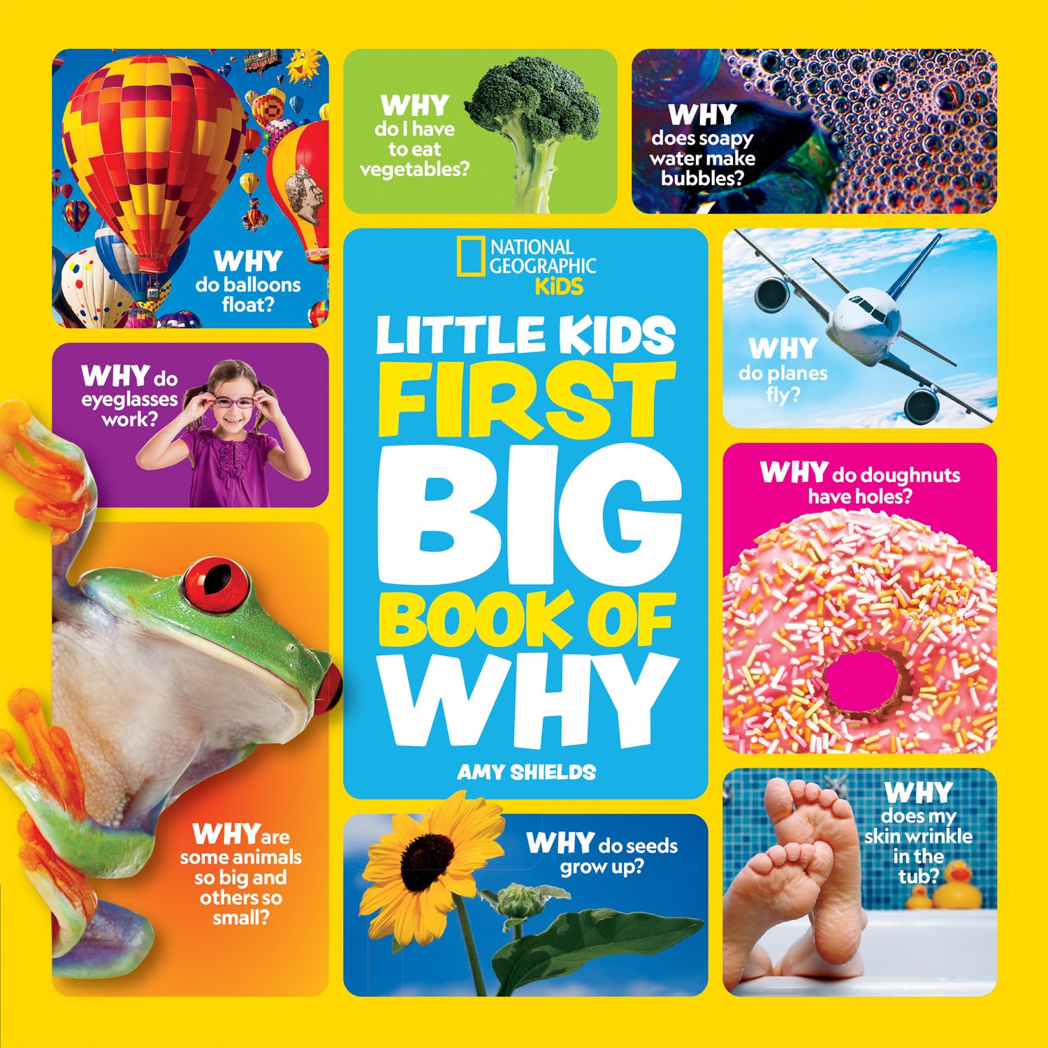 Collins Little Kids First Big Book of Why (National Geographic Kids) Hardcover | Ages 4-7 1