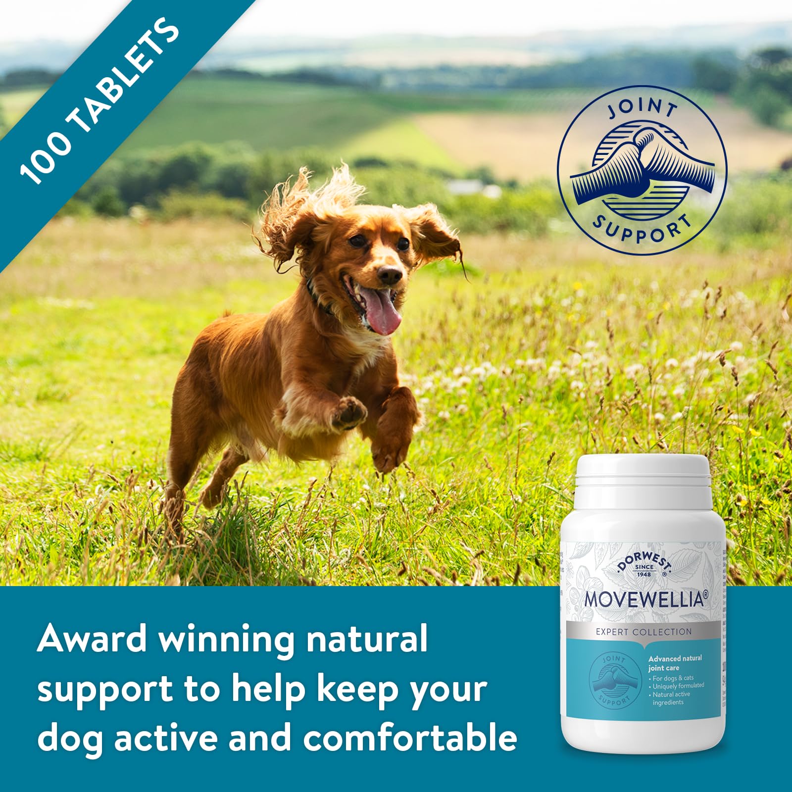 DORWEST HERBS MoveWellia Joint Care Supplement for Dogs and Cats - 100 Tablets 2