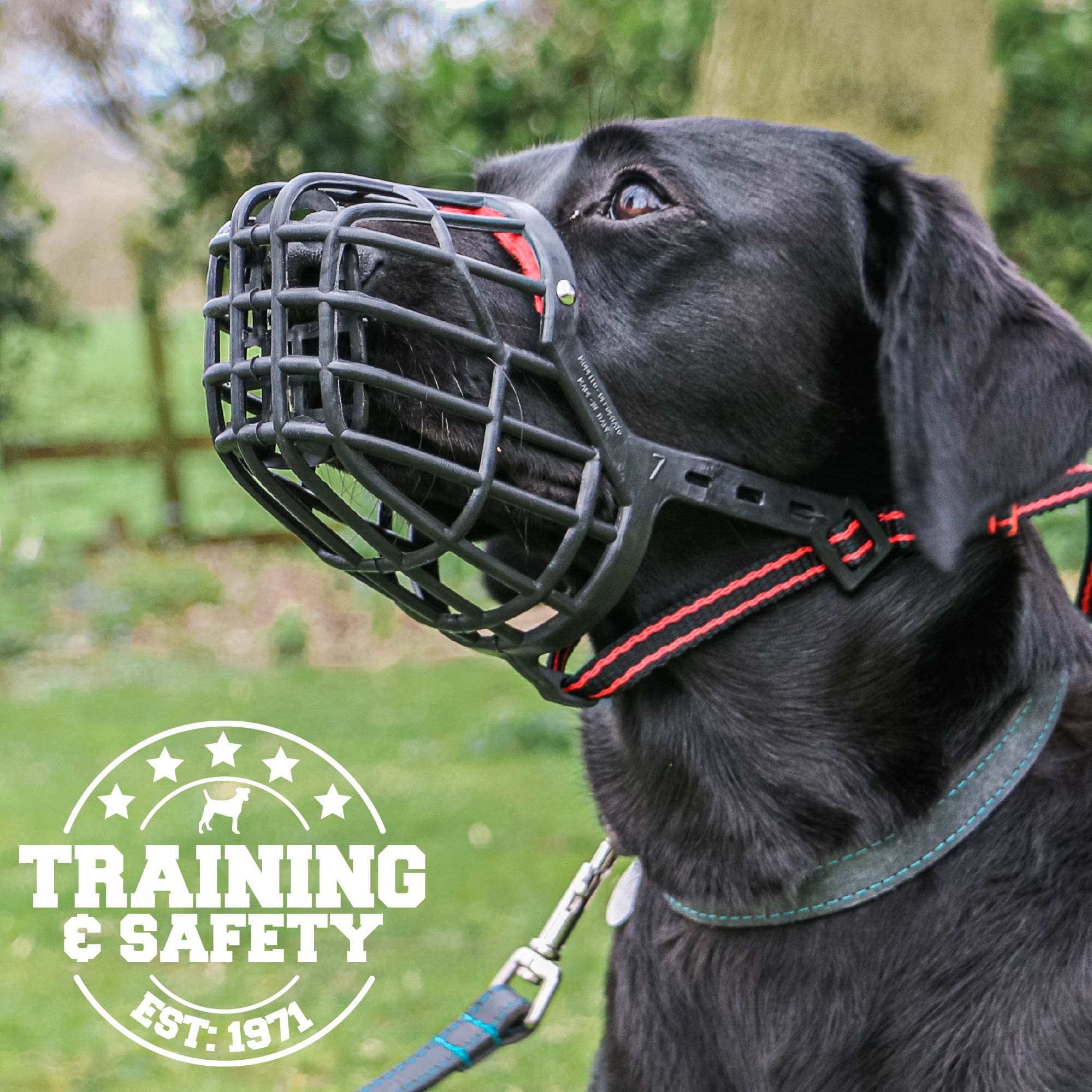 Ancol Plastic Muzzle - Strong Biting Control | Size 8 | Black/Red 4