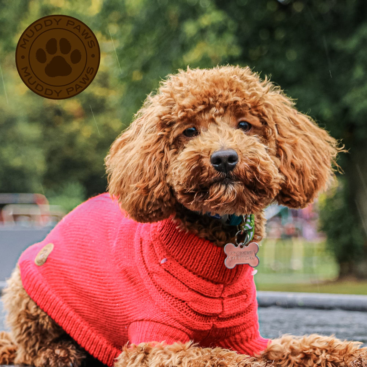 Ancol Cable Knit Dog Jumper - Red, Size S, Wool