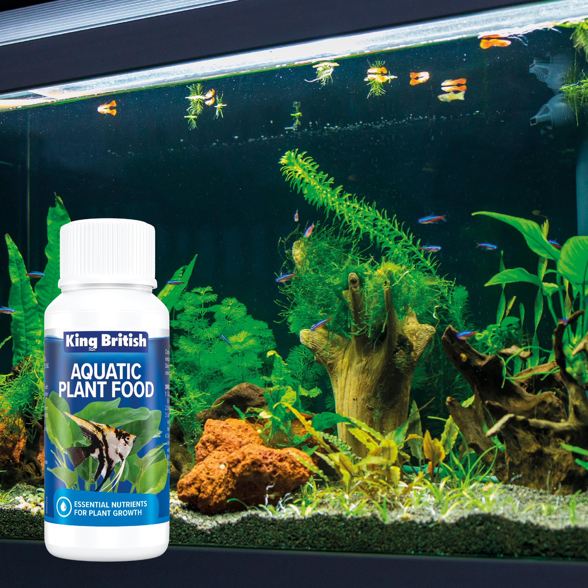King British Aquatic Plant Food - Nutrient Rich Growth Booster | 100ml Liquid | No Nitrate/Phosphate 2