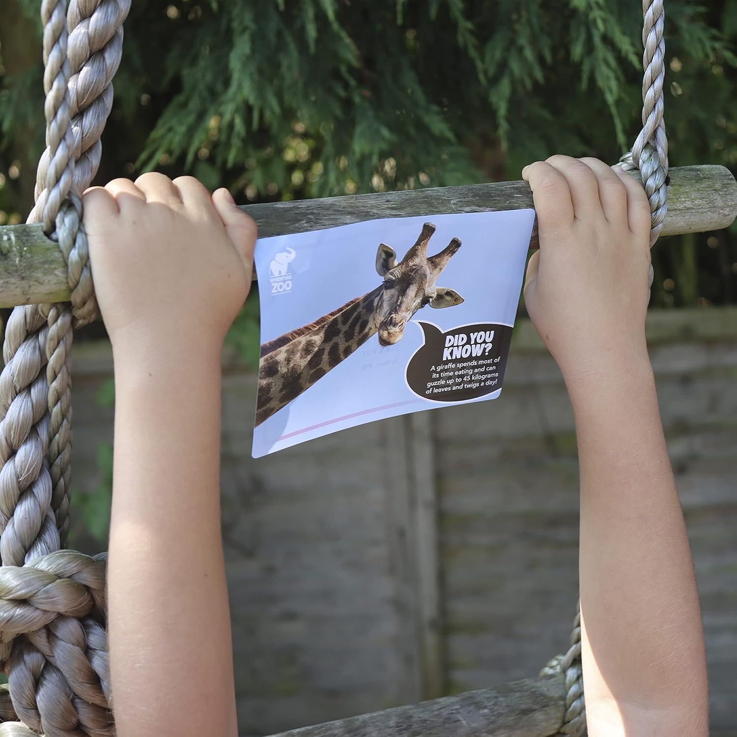 Trapped The Zoo Escape Room Game Pack TZ001 3