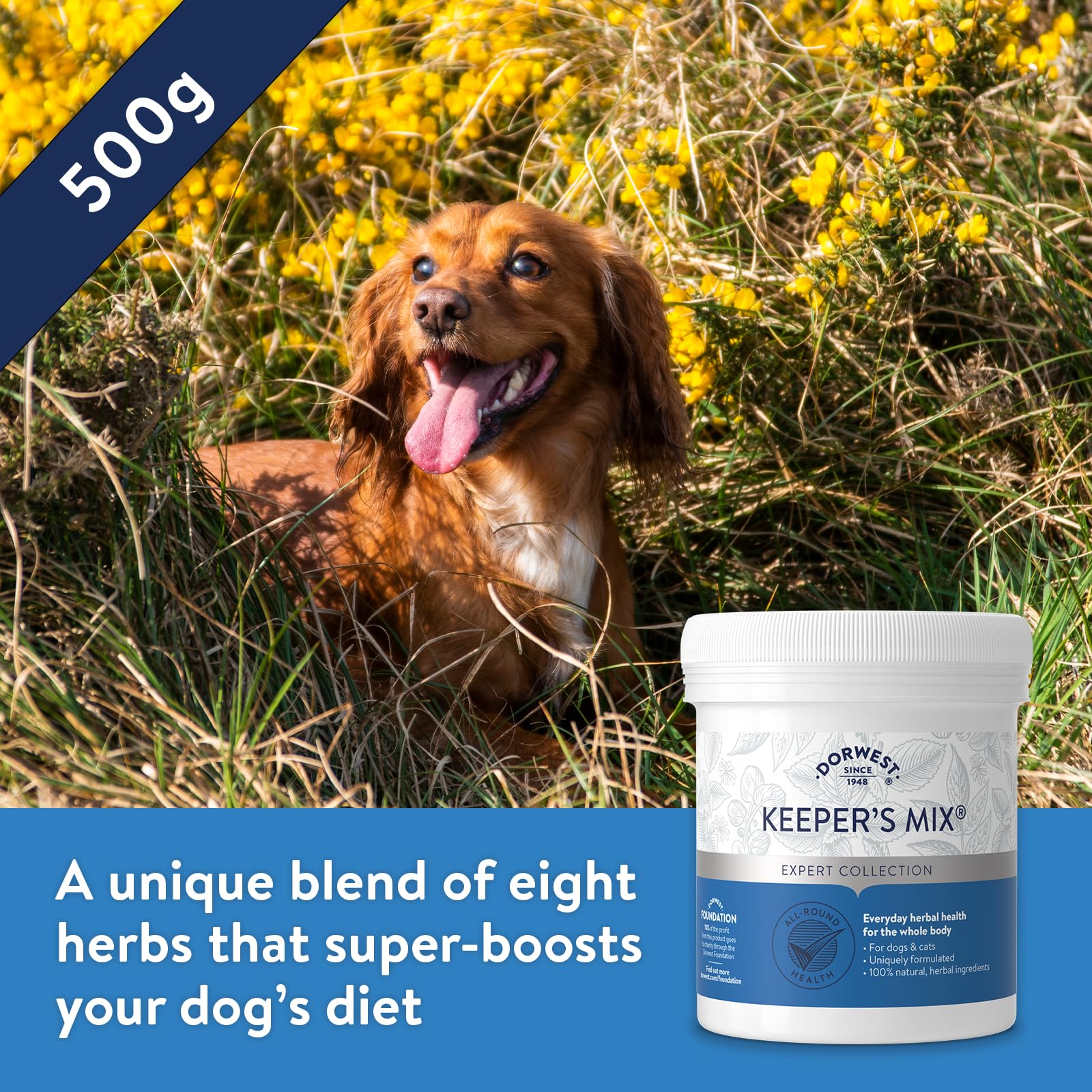 DORWEST HERBS Keeper’s Mix Herbal Supplement for Dogs and Cats - 500g Powder 2