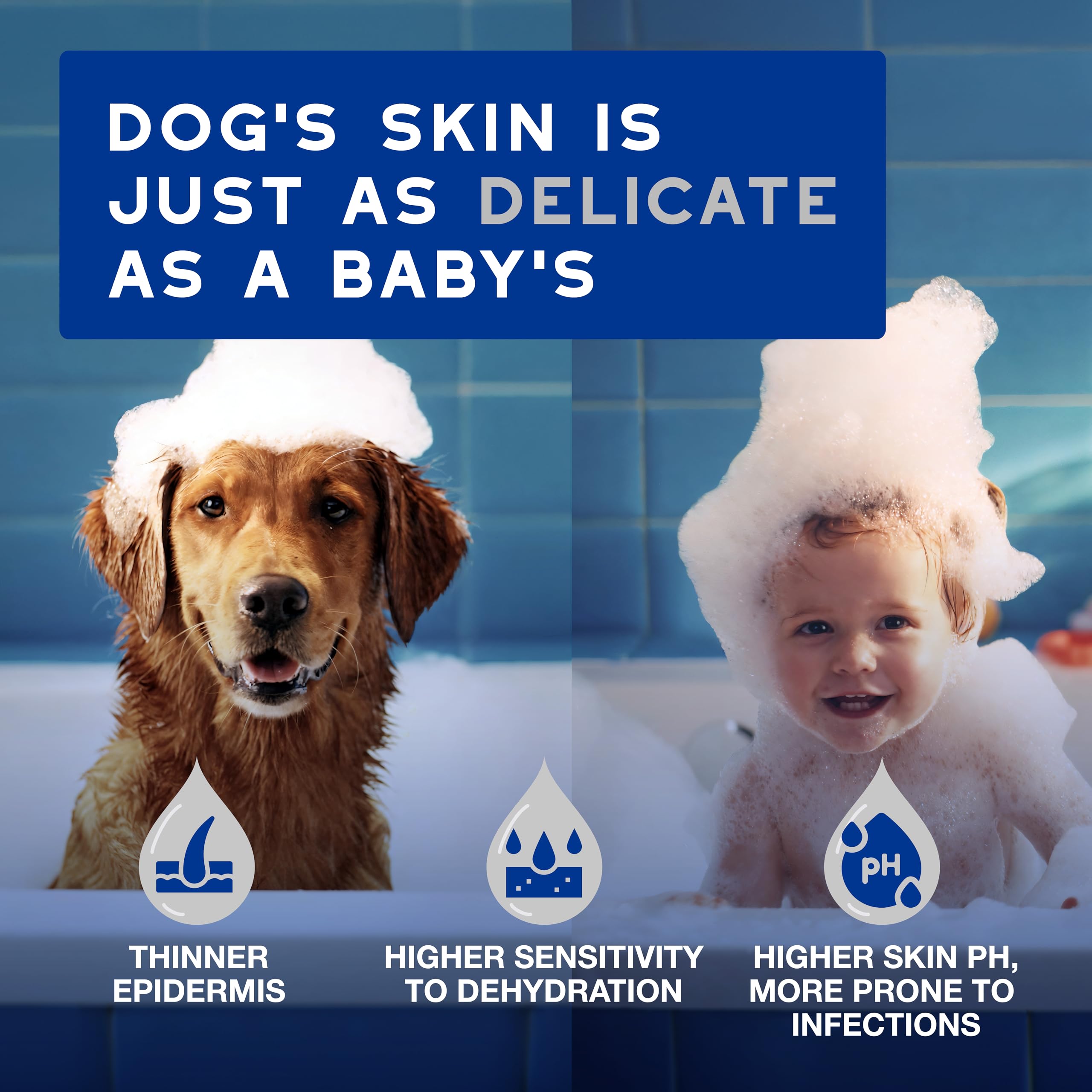 Douxo Skin & Coat Care - Multipurpose Grooming Wipes for Dogs and Cats | 100 Wipes | Hypoallergenic 3