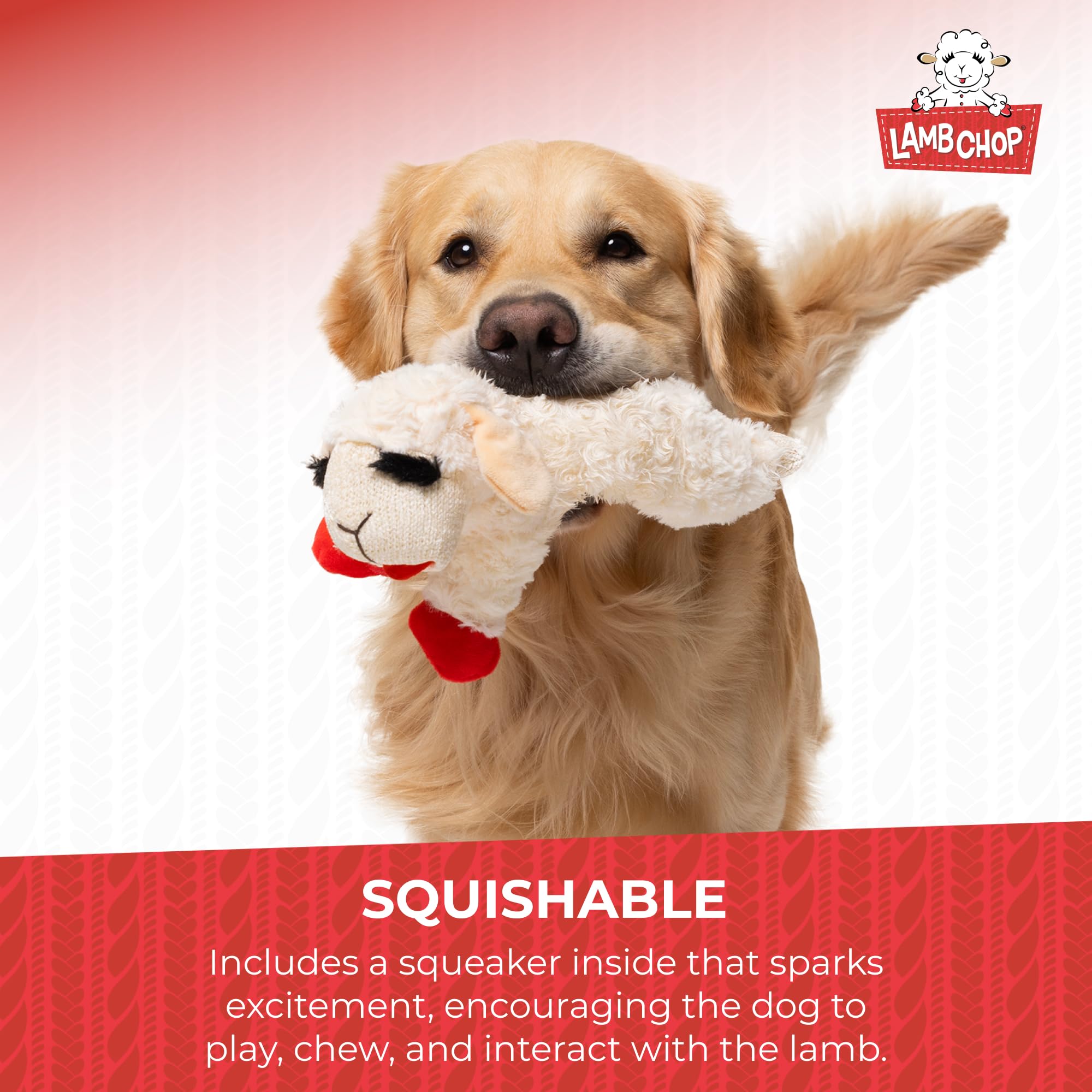 Multipet Lambchop Plush Dog Toy - Soft Cuddly Squeaky Toy for Small/Medium Breeds | 10 Inch 5