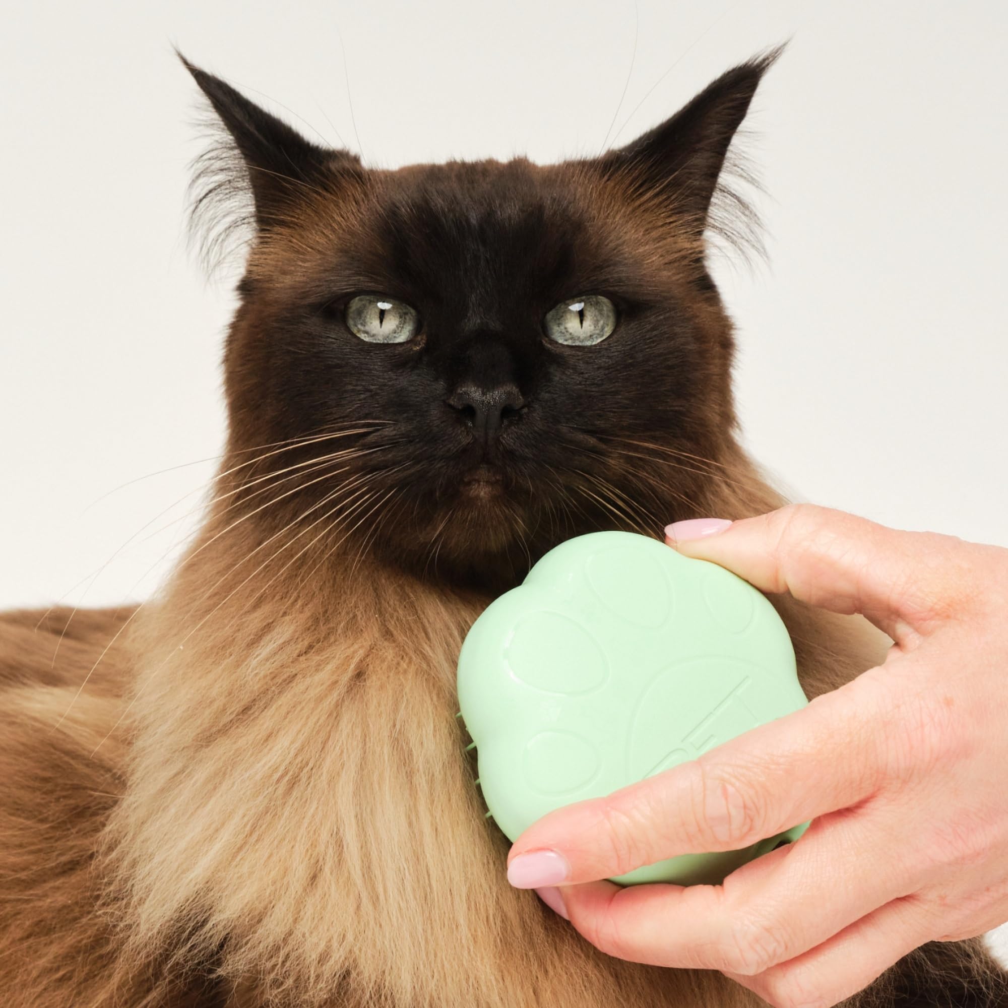 Tangle Teezer Pet Teezer Cat Brush - For Short to Medium Fur | Green Plastic 3
